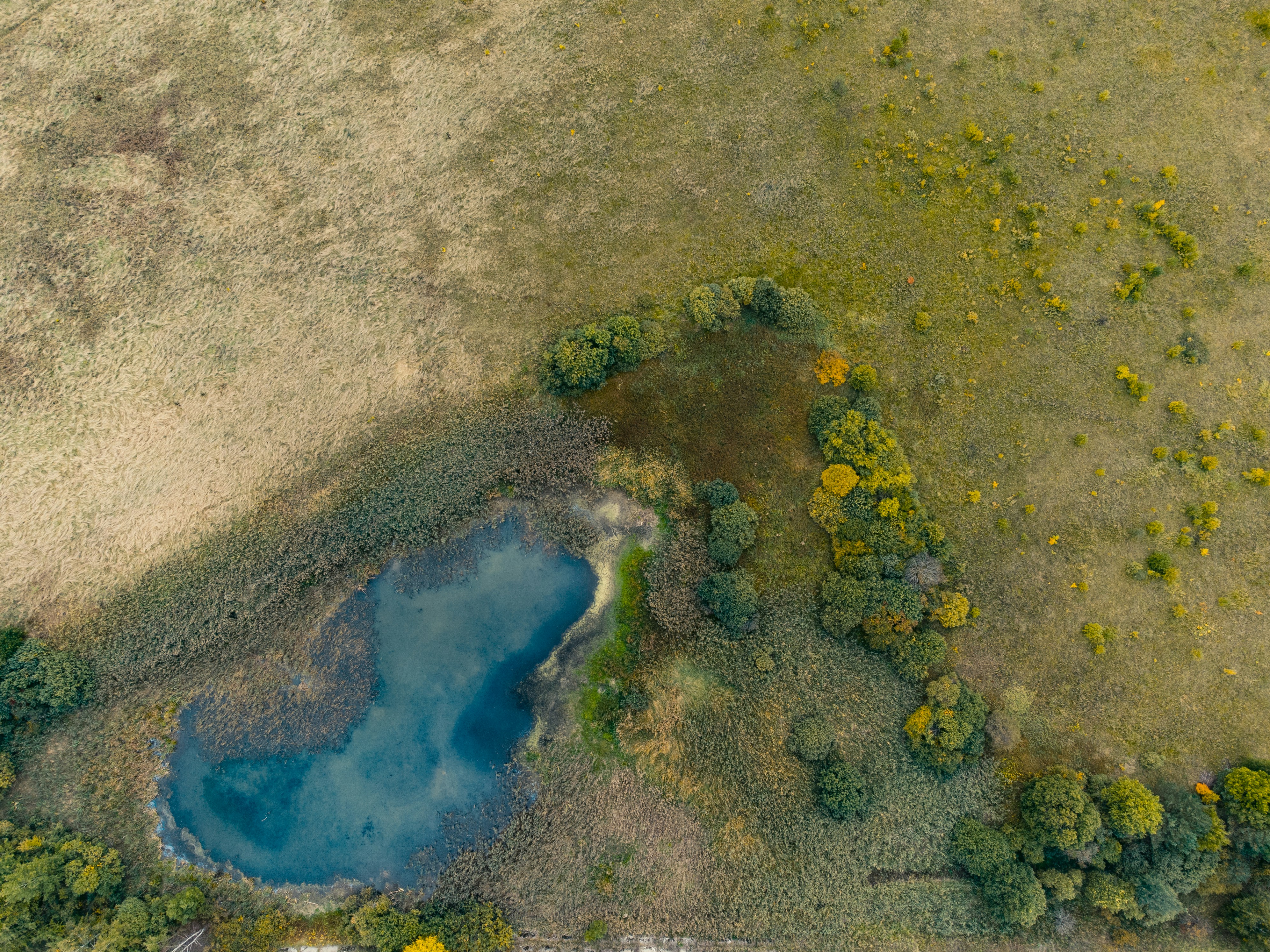 Photo by evil_bumblebee