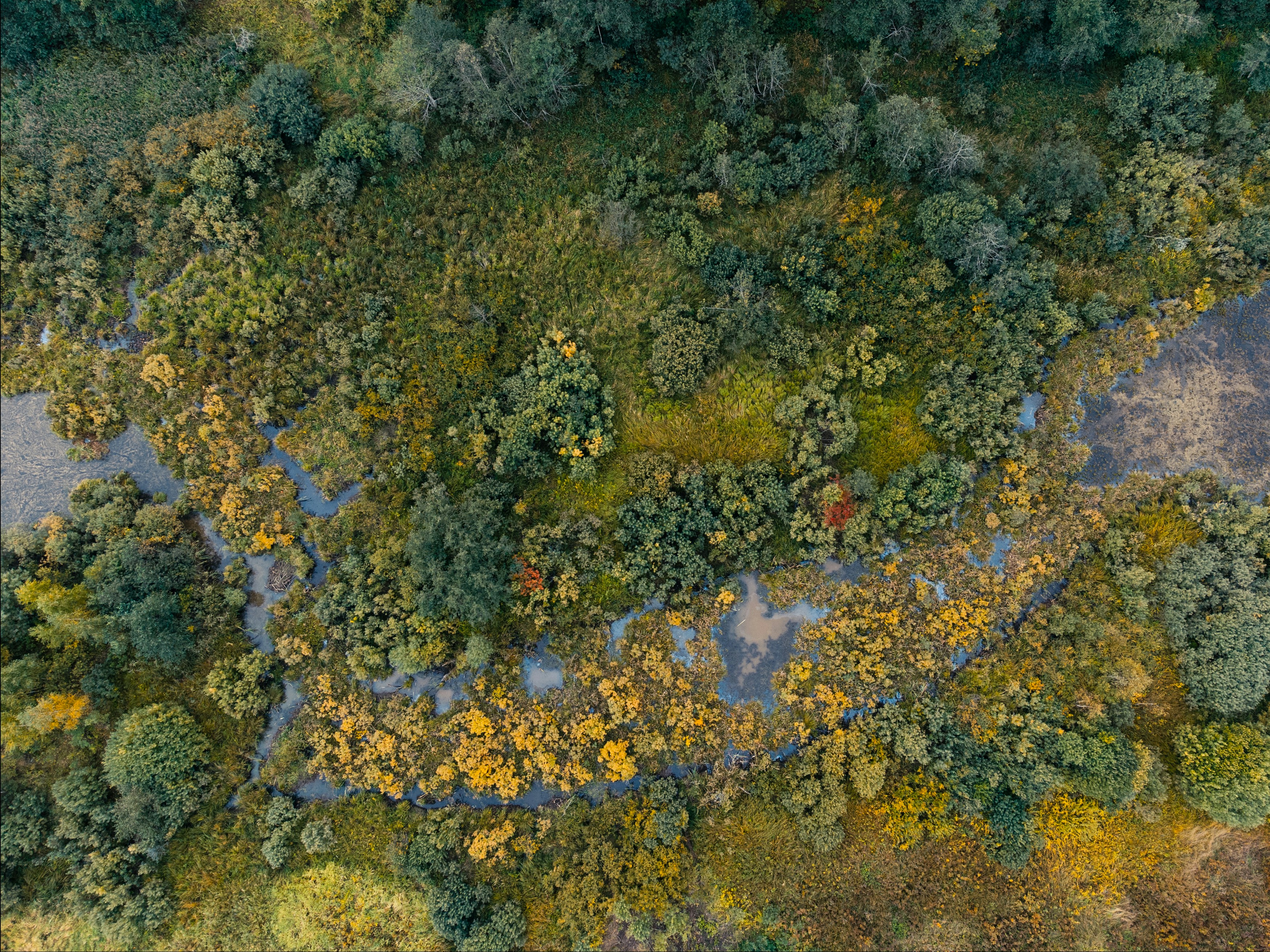 Photo by evil_bumblebee