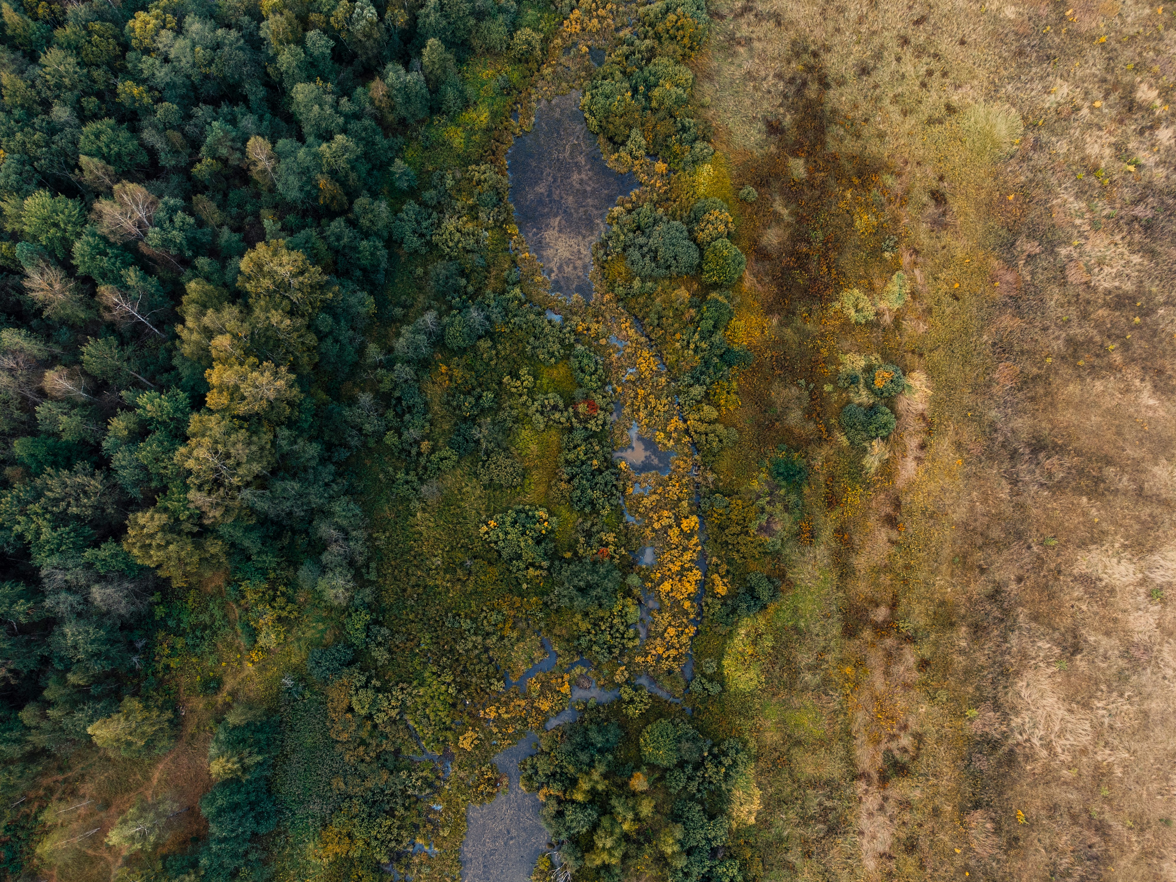 Photo by evil_bumblebee