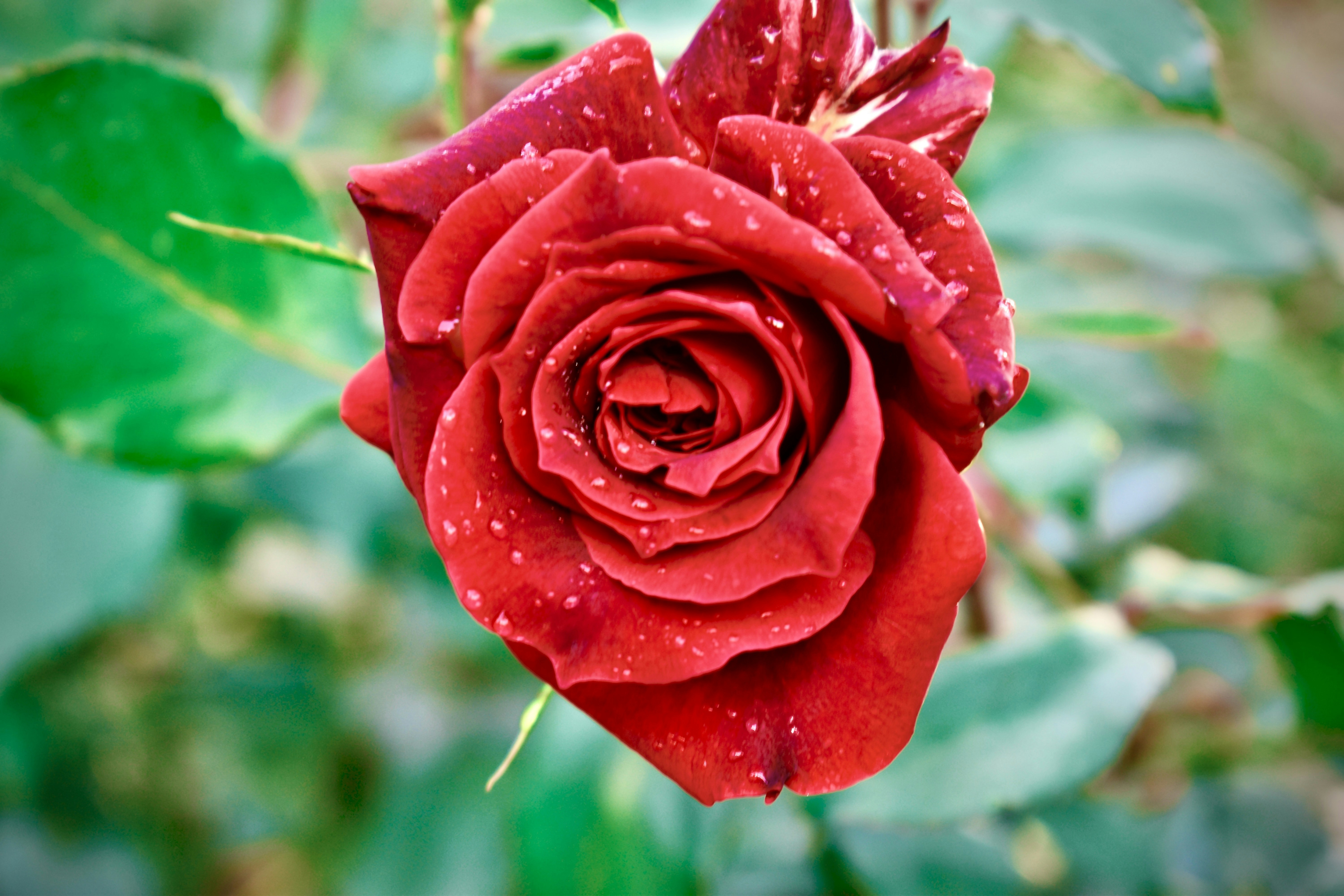 Photo by jellydollar