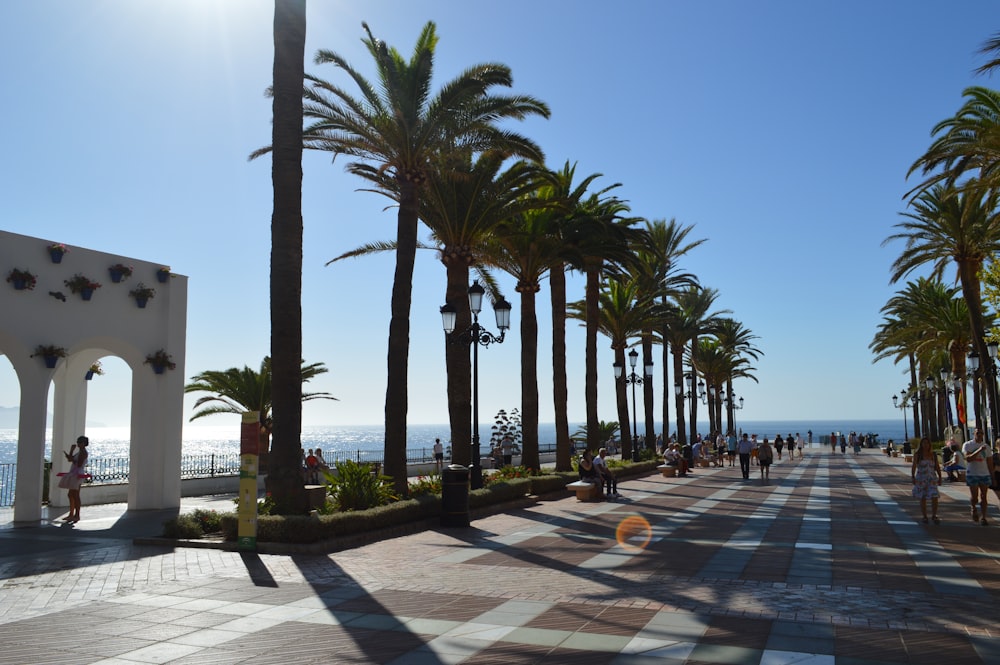 a group of people walking on a stone walkway by a beach