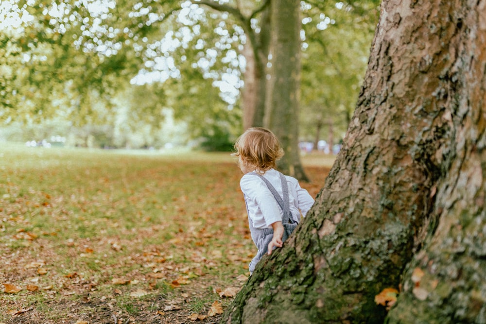 Ein Kind klettert auf einen Baum