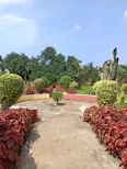 A neat pathway lined with trimmed bushes and soft olive-green plants under a bright sky.