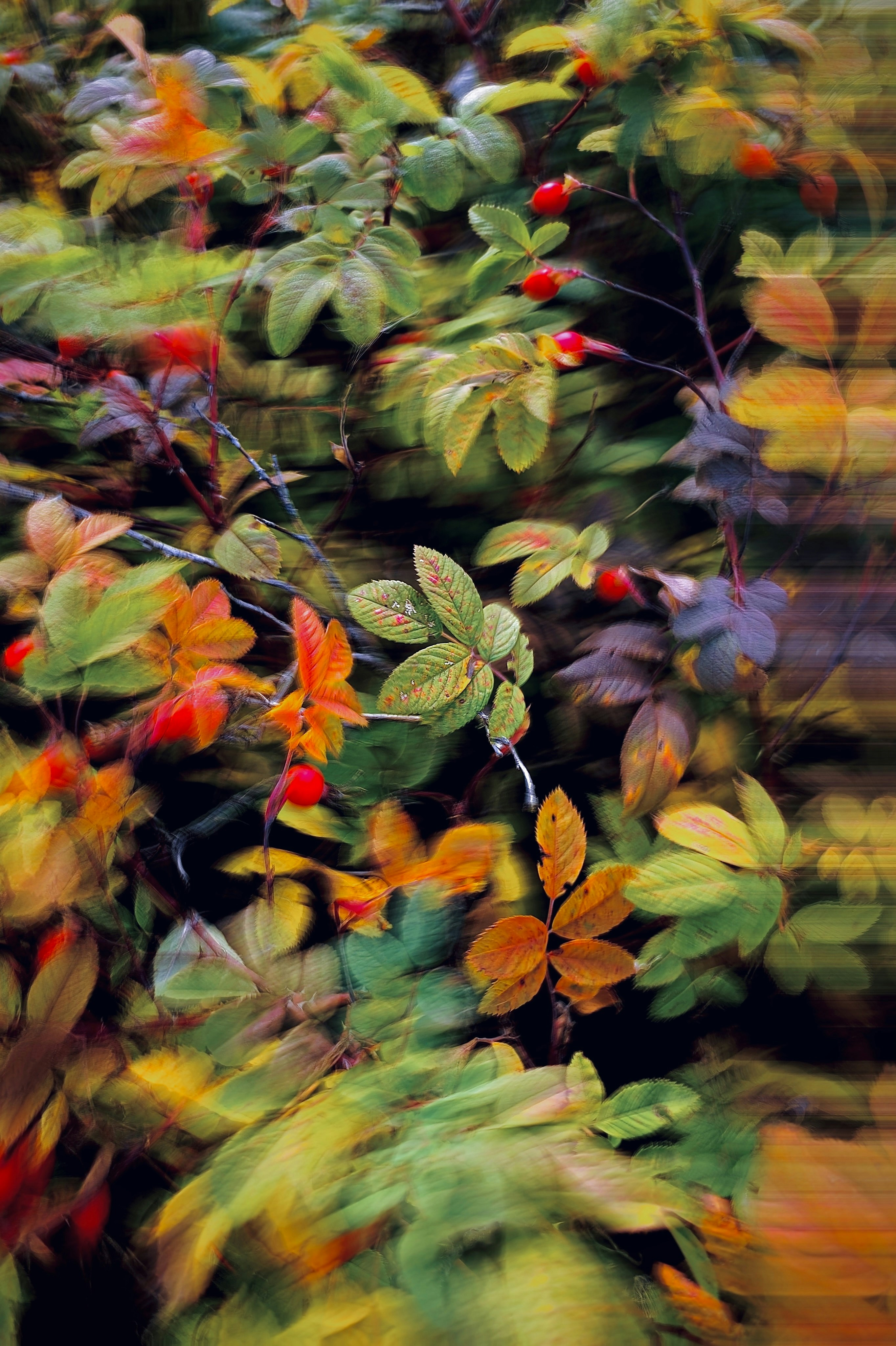 Photo by eugene_golovesov