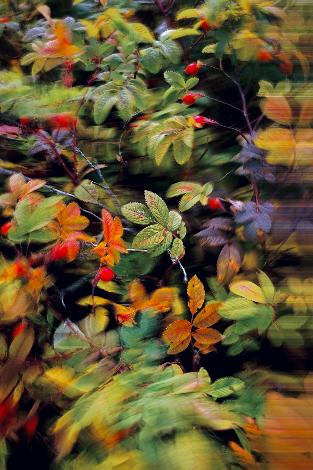 a close up of some leaves