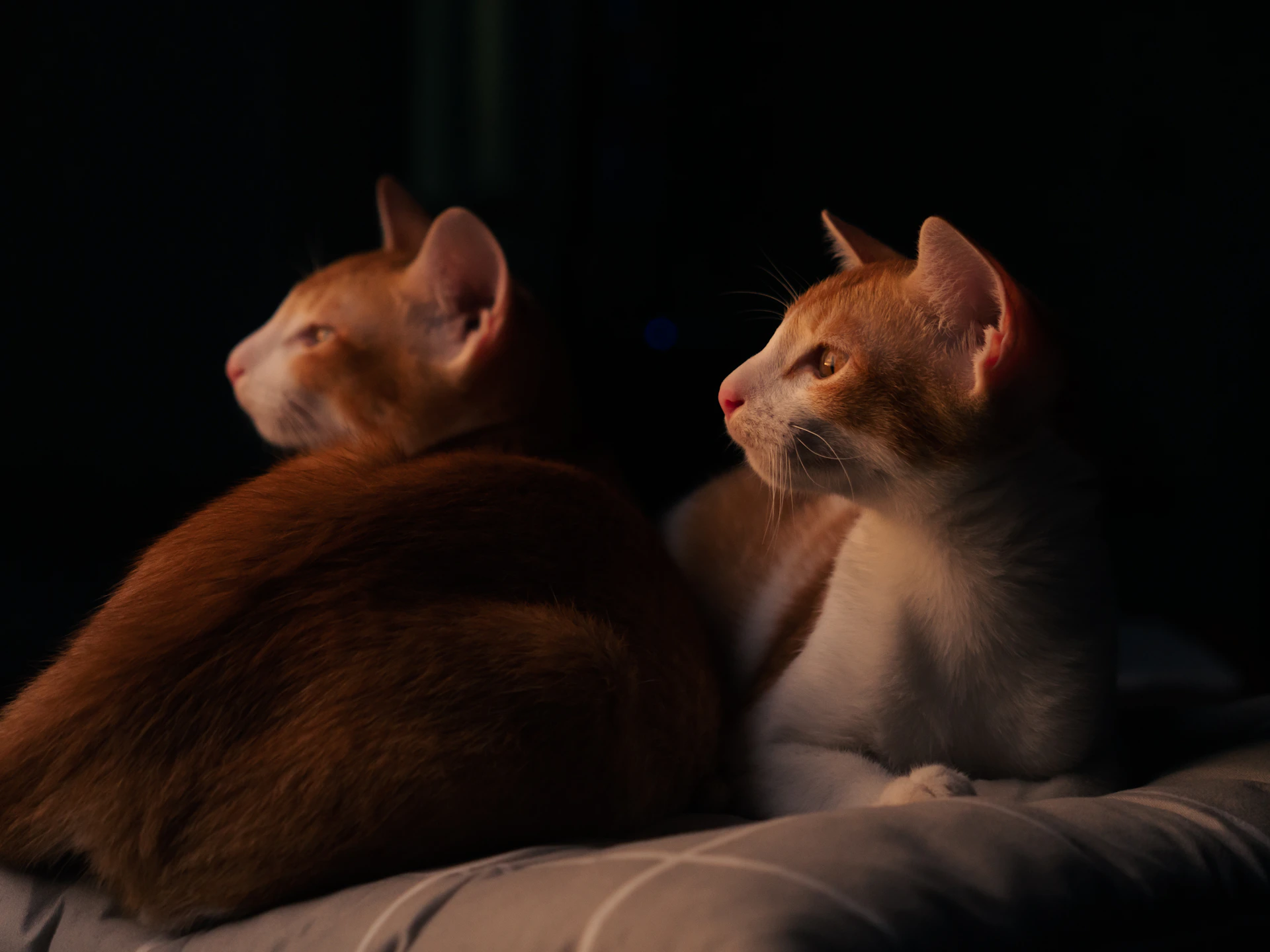 person wearing grey knit sweater