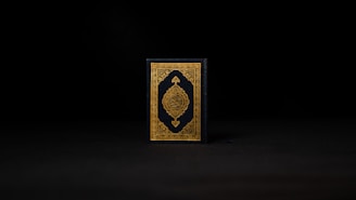 A book with an ornate cover featuring intricate gold designs on a dark background positioned centrally against a dark backdrop.