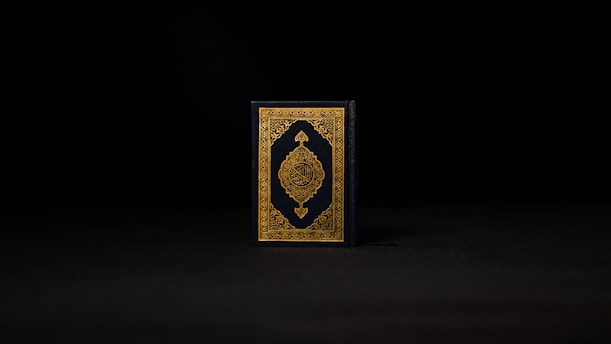 A book with an ornate cover featuring intricate gold designs on a dark background positioned centrally against a dark backdrop.