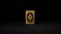 A book with an ornate cover featuring intricate gold designs on a dark background positioned centrally against a dark backdrop.