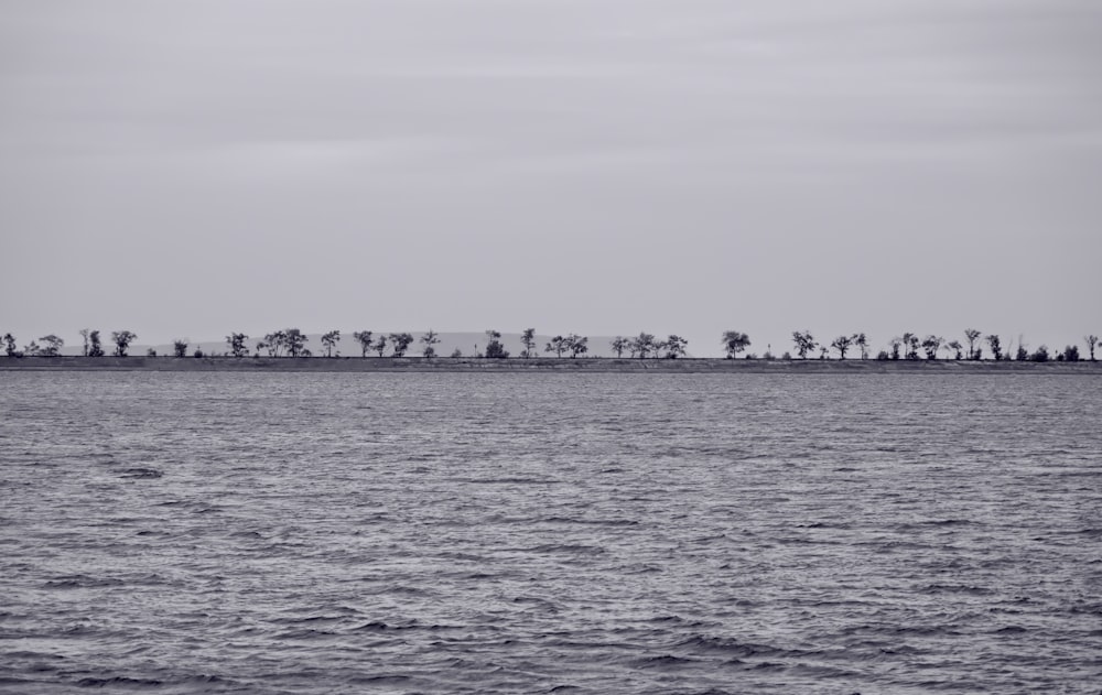 a body of water with trees in the background