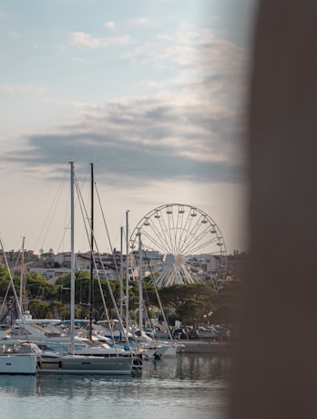Vos coursiers Omax livraisons sont disponible à Antibes. Contactez-nous dès maintenant !