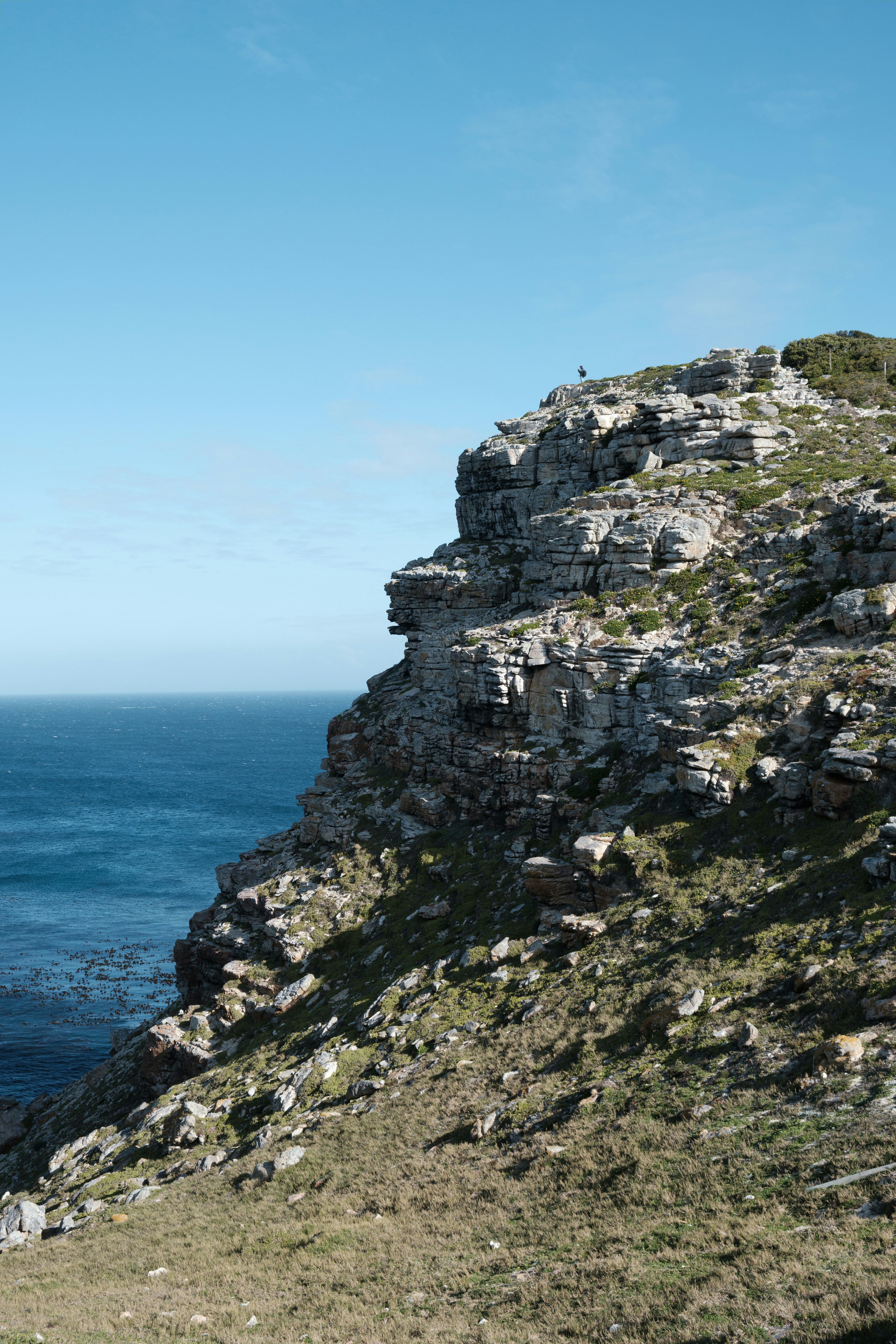 Photo by joshuakettle