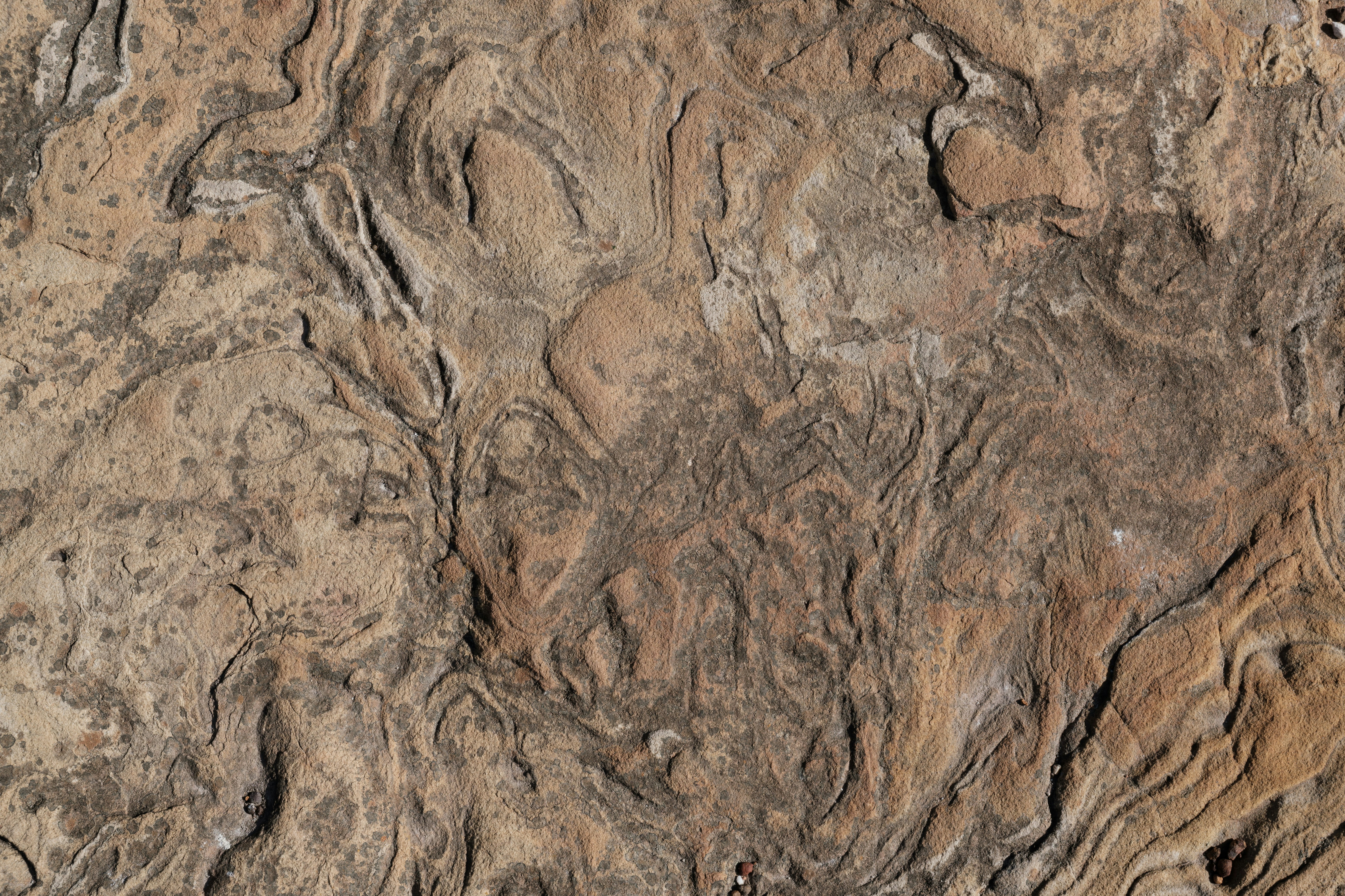 Photo by joshuakettle