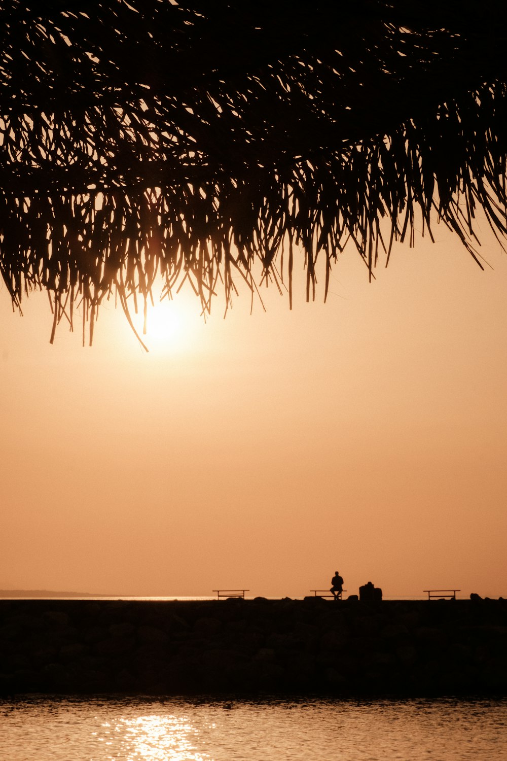 a person standing on a beach under a tree