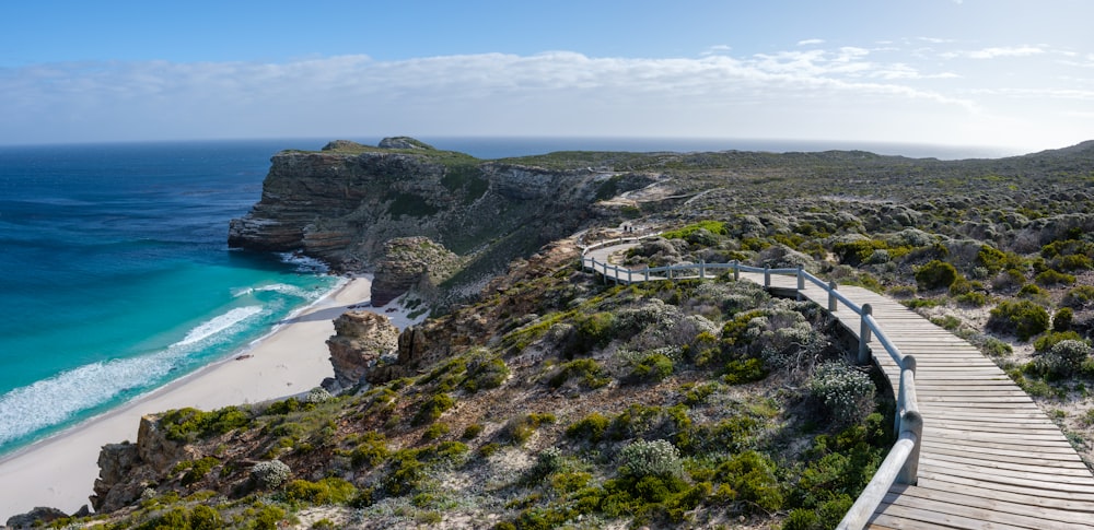 Un primer plano de una ladera junto a un cuerpo de agua