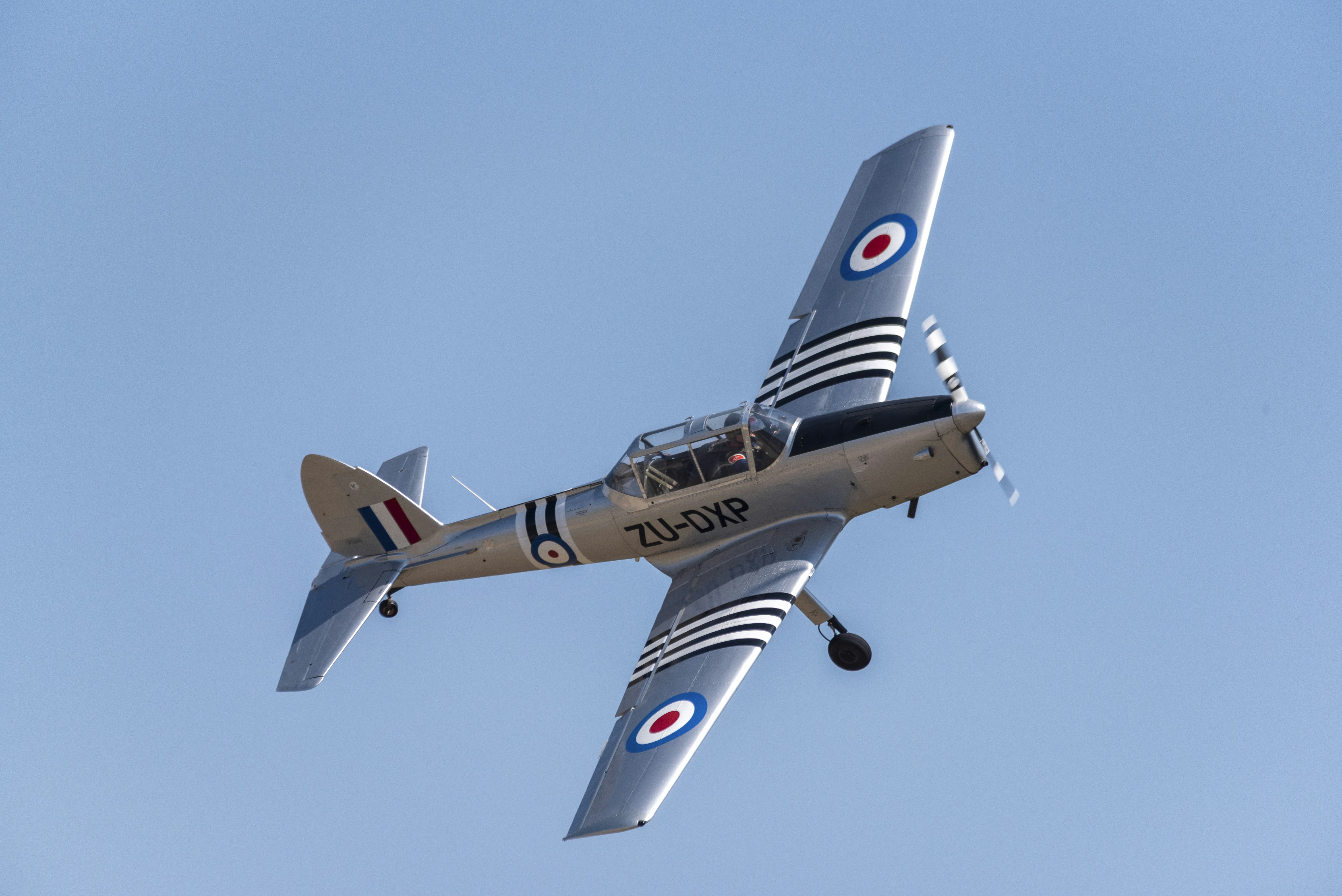 Photo by stewardesign