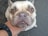 A close-up of a French Bulldog's face with its large, expressive eyes staring directly at the camera. The dog has a cream-colored coat and slight wrinkles on its face. A person's hand, wearing a black watch, is gently holding the dog's chin.