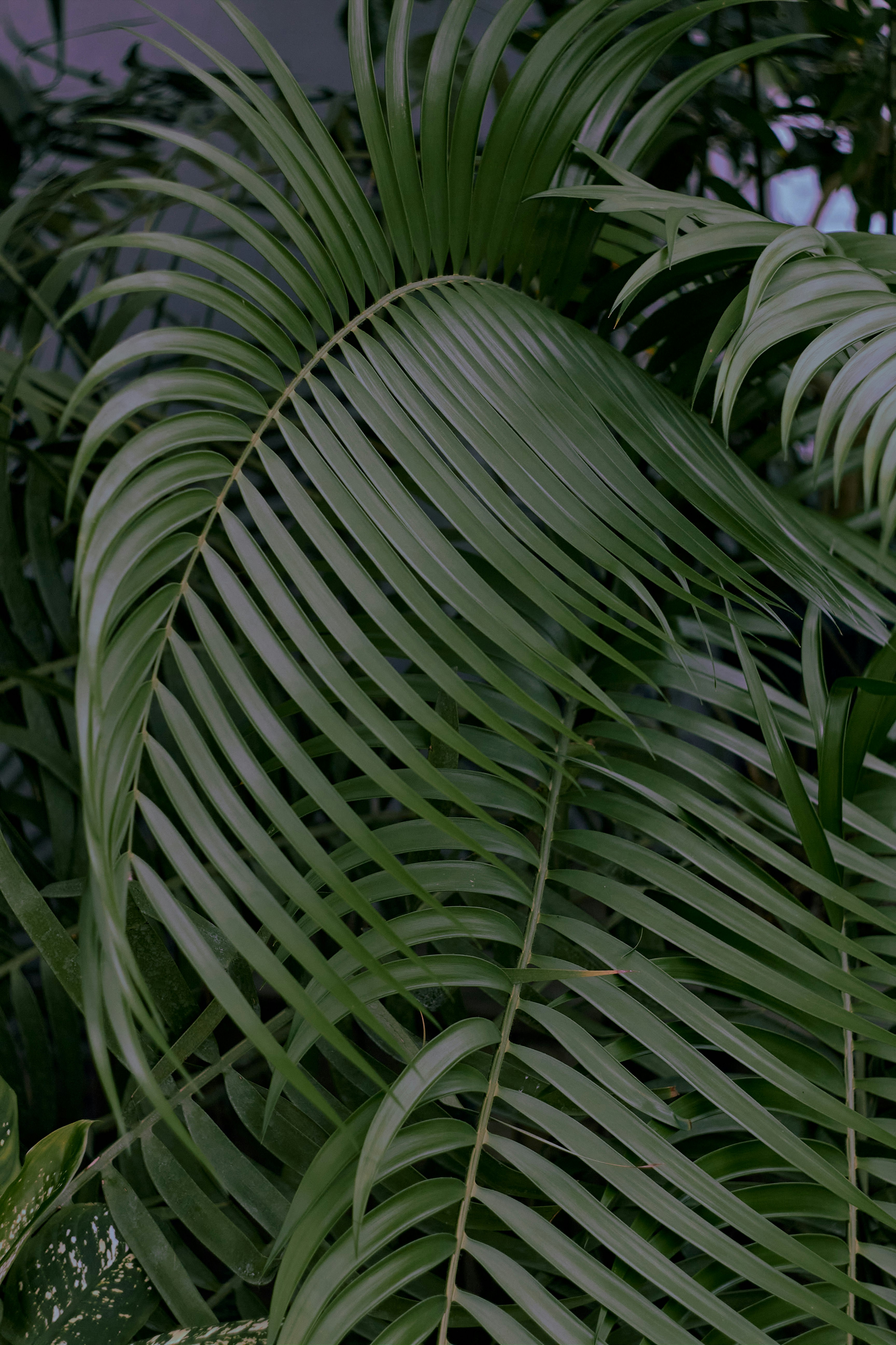 Photo by yana_eternal