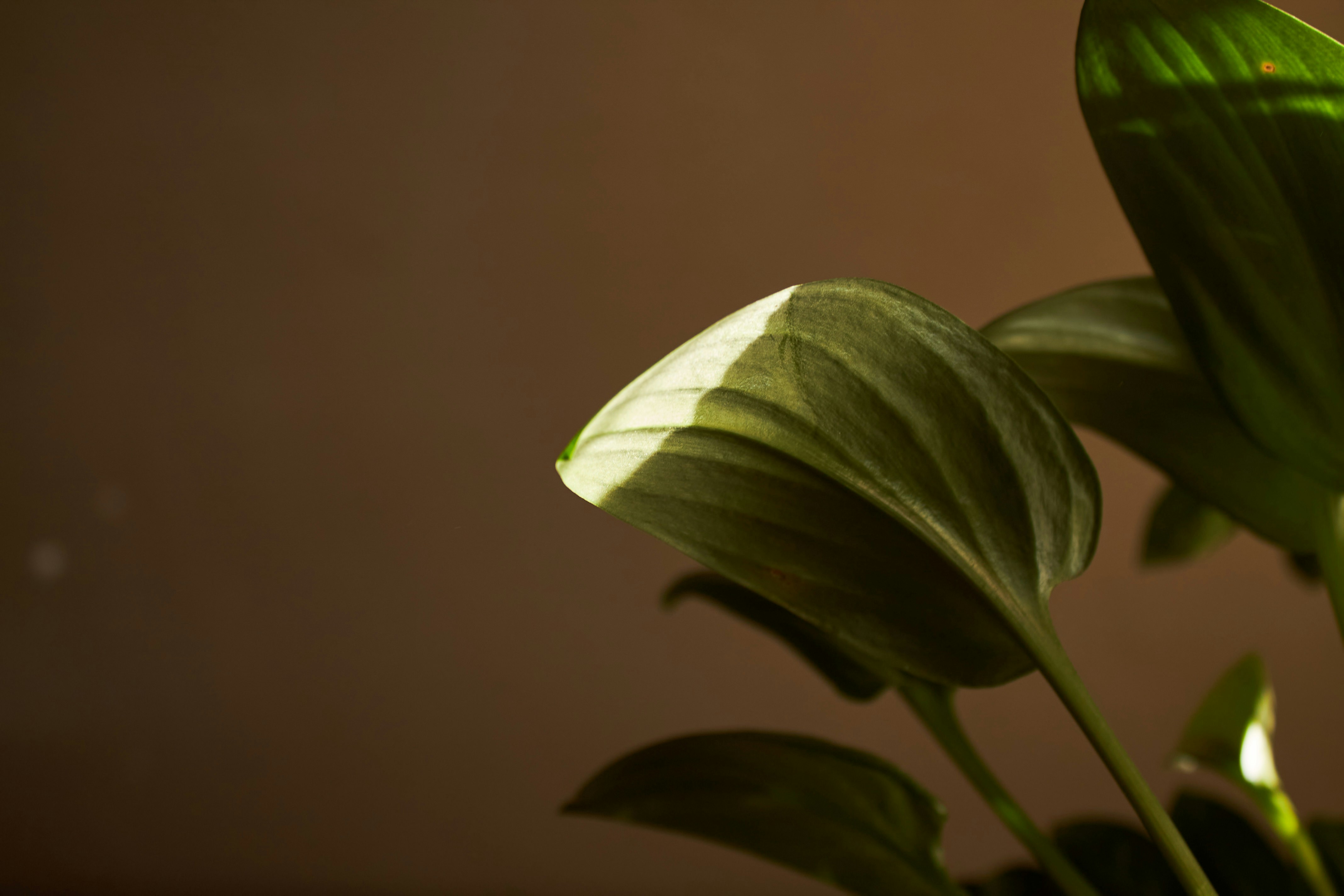 Photo by yana_eternal