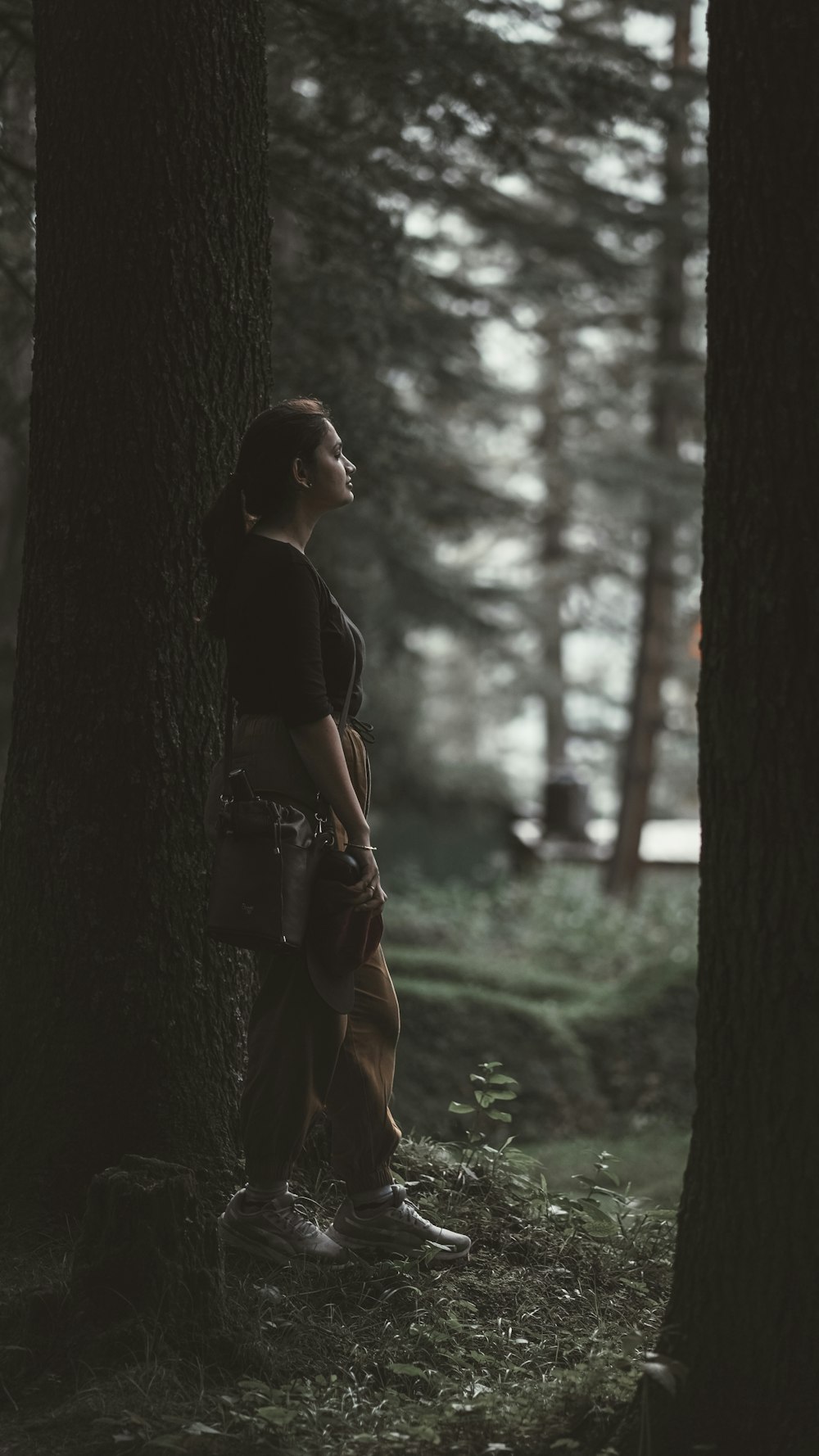 a person standing in a forest