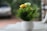 A small white pot contains a dense arrangement of green artificial grass-like plants with yellow and light green artificial flowers. The pot is placed on a smooth, light-colored surface, with a blurred background that suggests an outdoor setting.