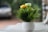 A small white pot contains a dense arrangement of green artificial grass-like plants with yellow and light green artificial flowers. The pot is placed on a smooth, light-colored surface, with a blurred background that suggests an outdoor setting.