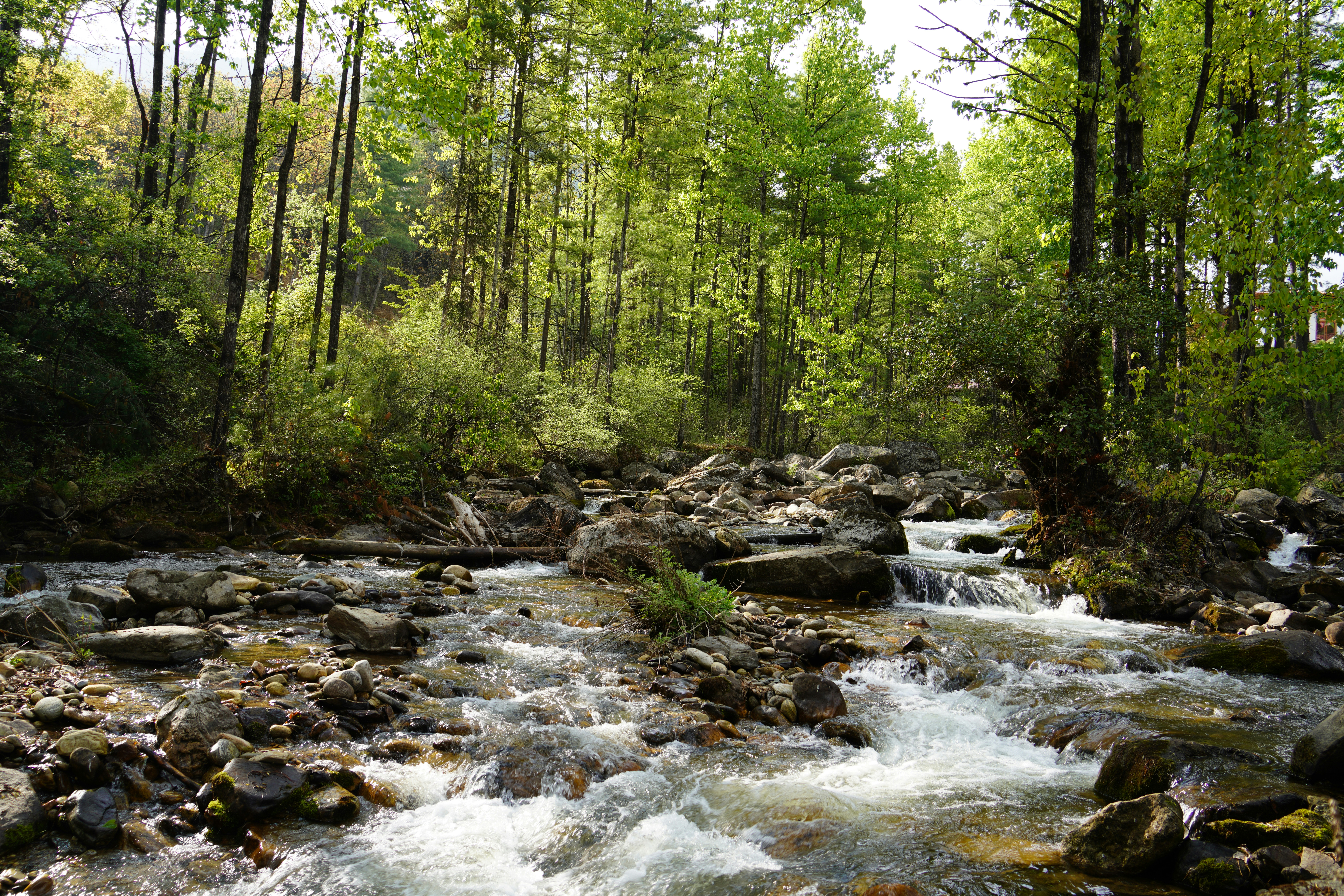 pristine environment