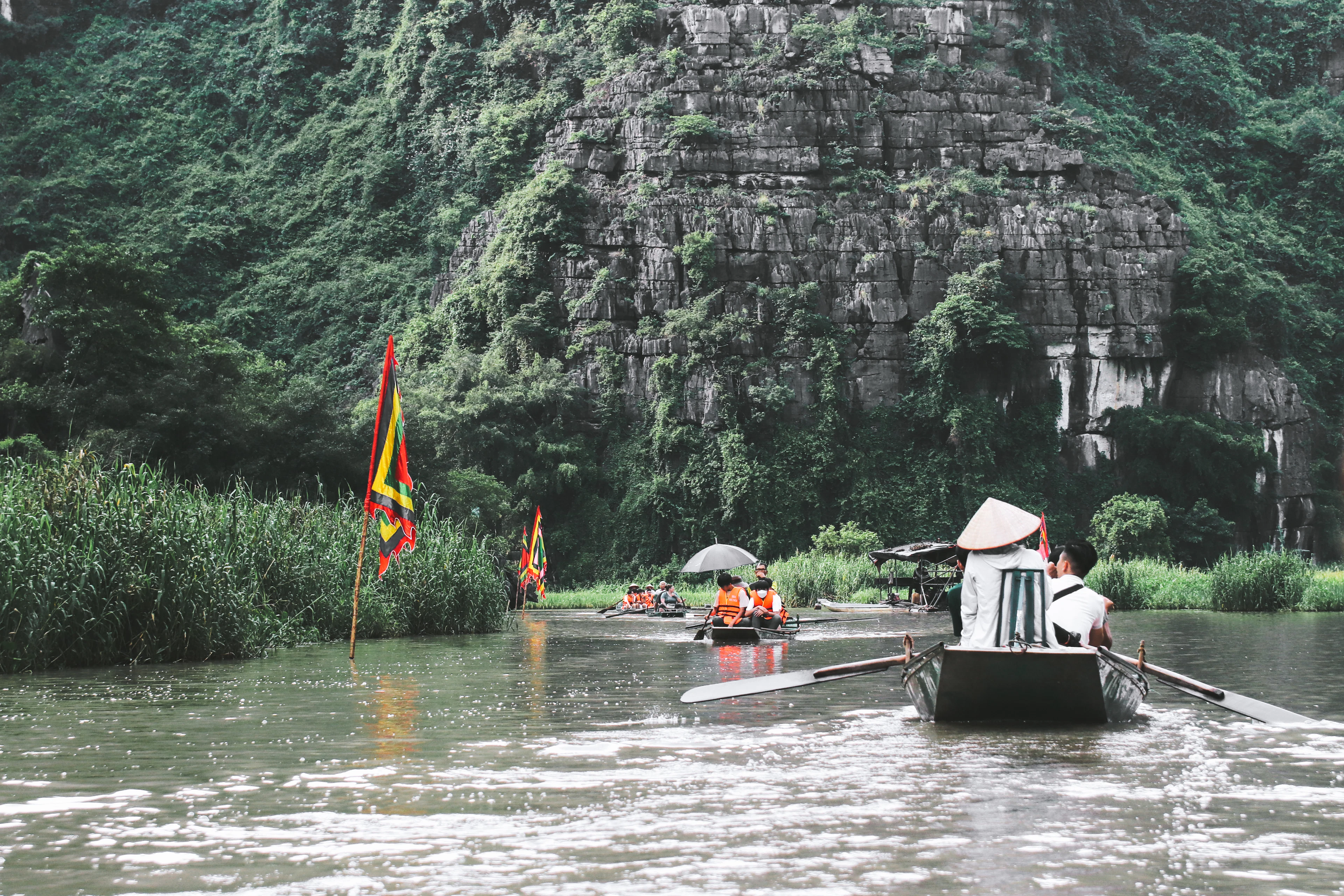 Irklinė valtis plaukia upe tarp nendrių ir kalkakmenio skardžių, Tam Kokas, Ninh Binh