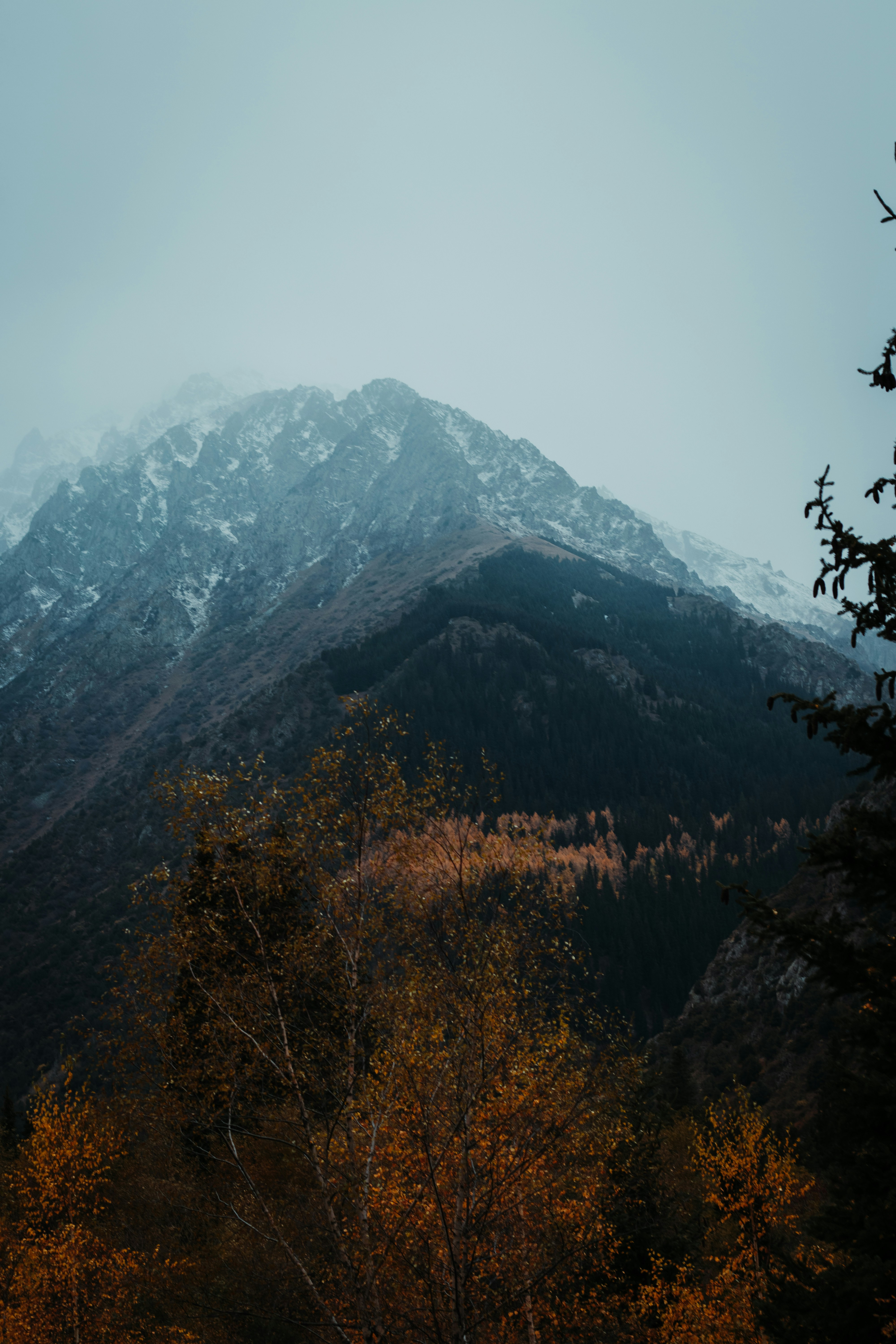 Photo by kaito_murataliev