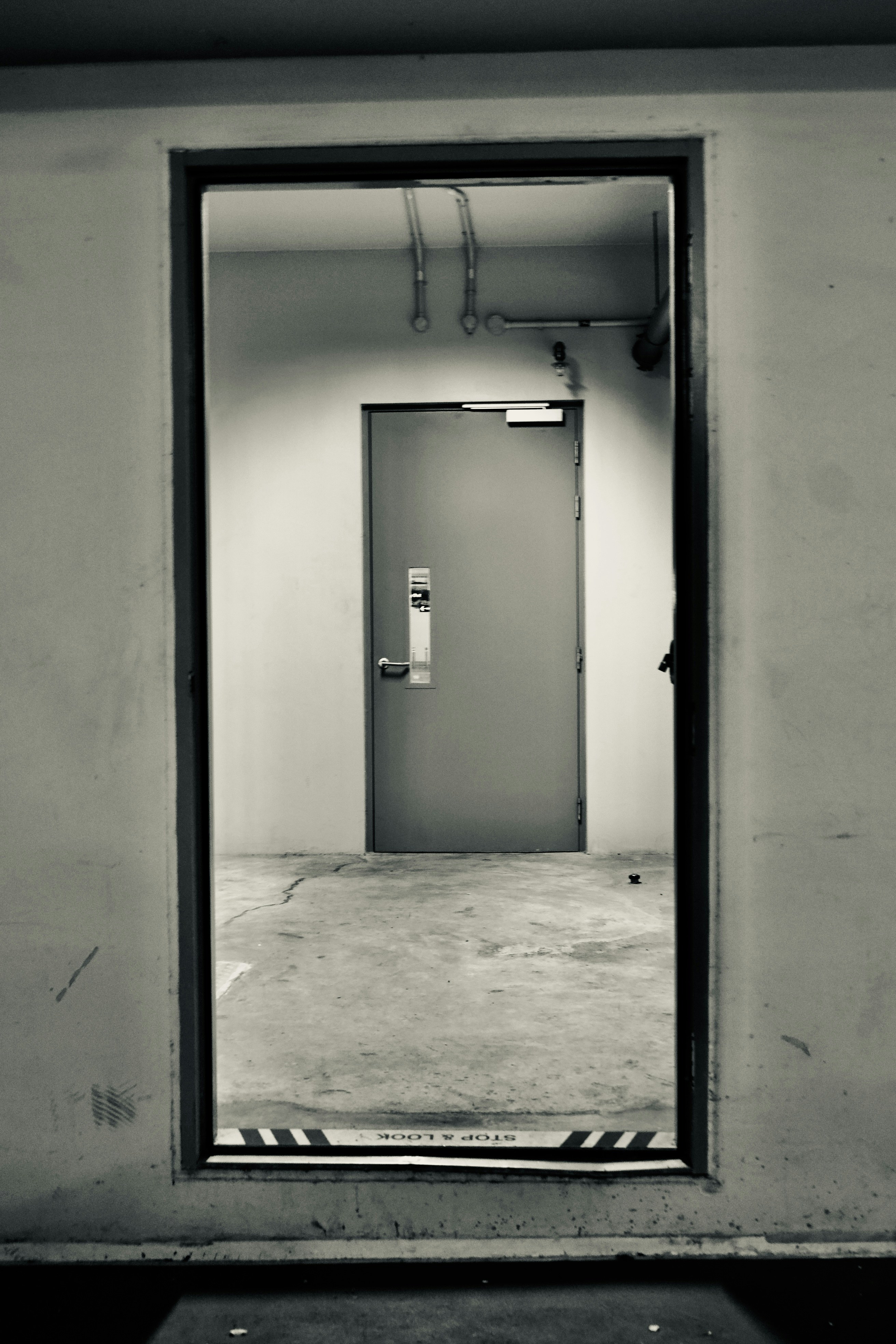 Safe Spaces: Why Feeling Seen and Heard in the Equestrian World Matters