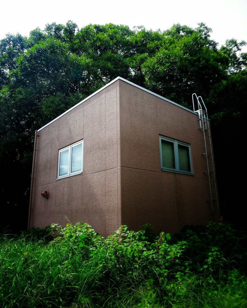 a house with bushes in front of a brick building