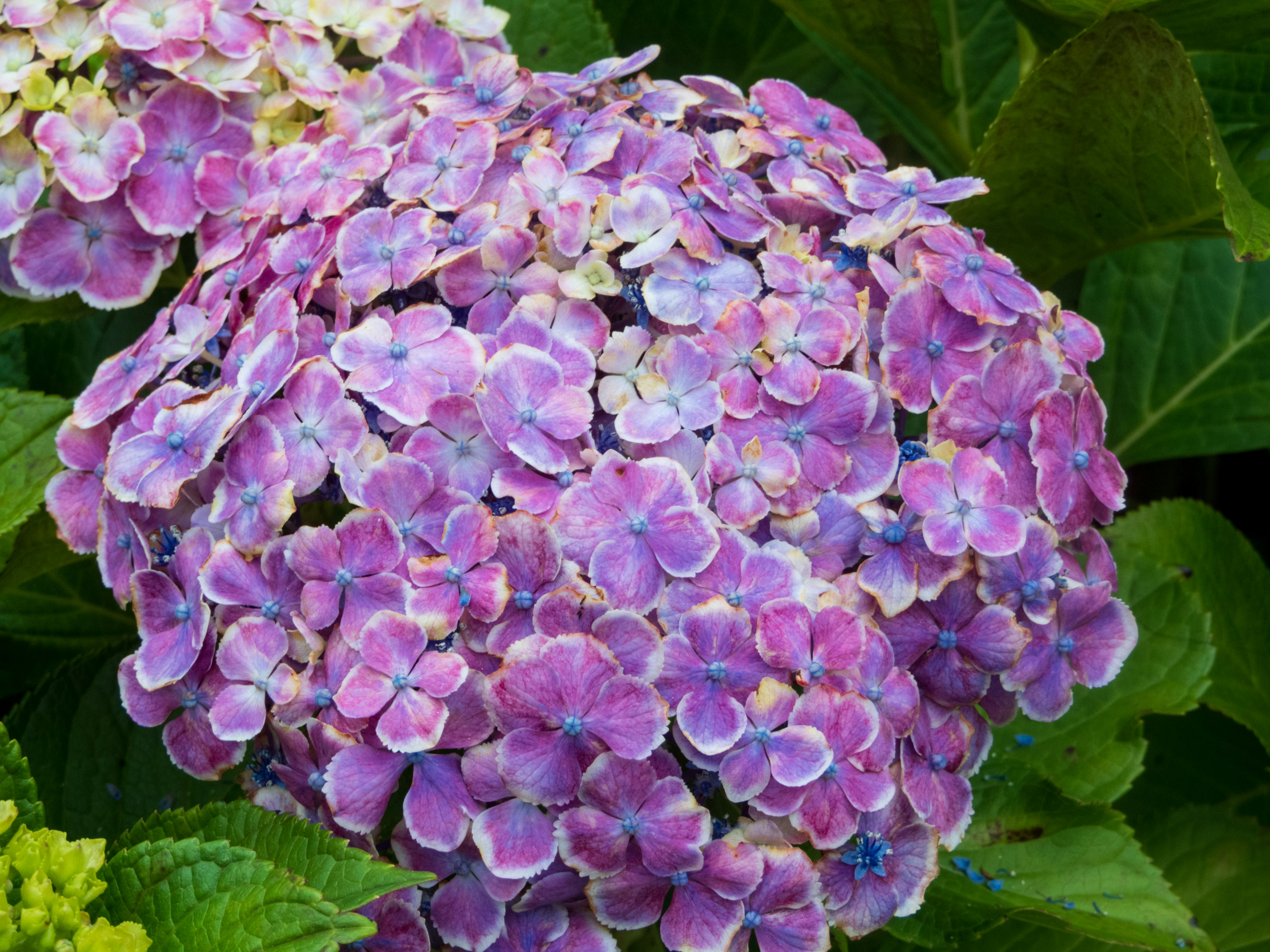 Photo by heppoko_yama