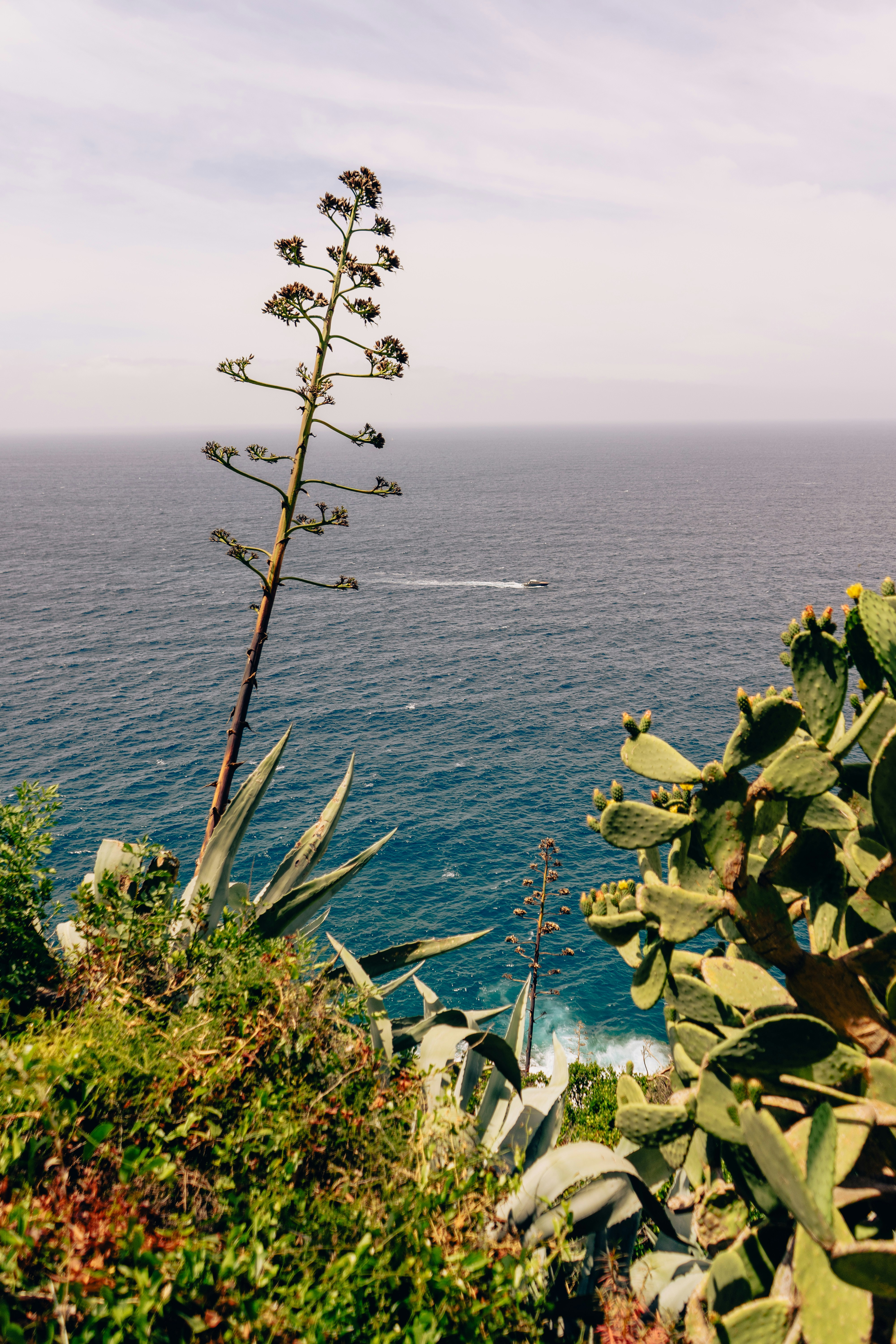 Photo by virussinside