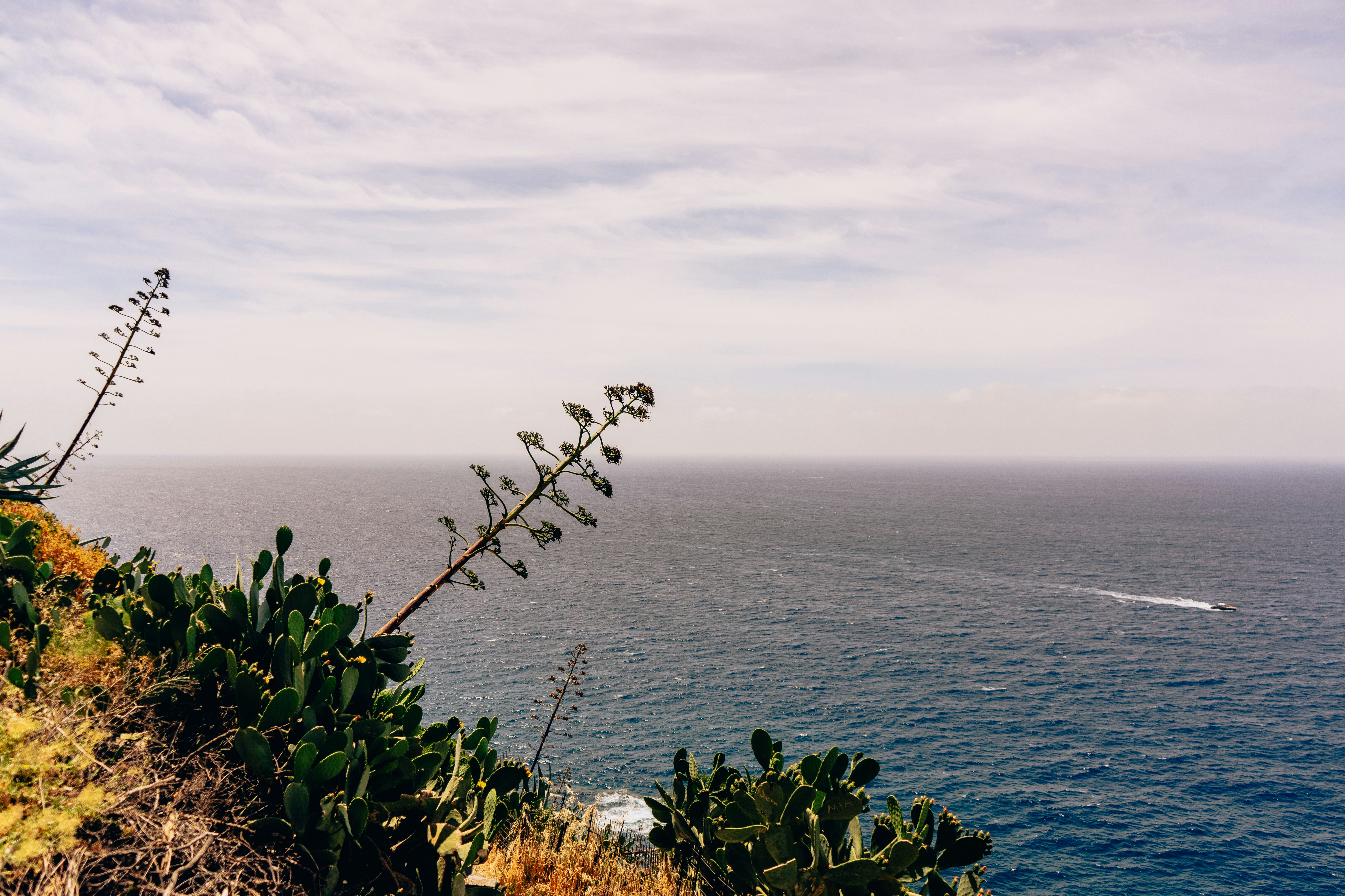 Photo by virussinside