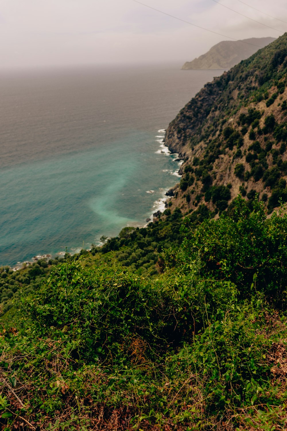 a view of a beach and ocean