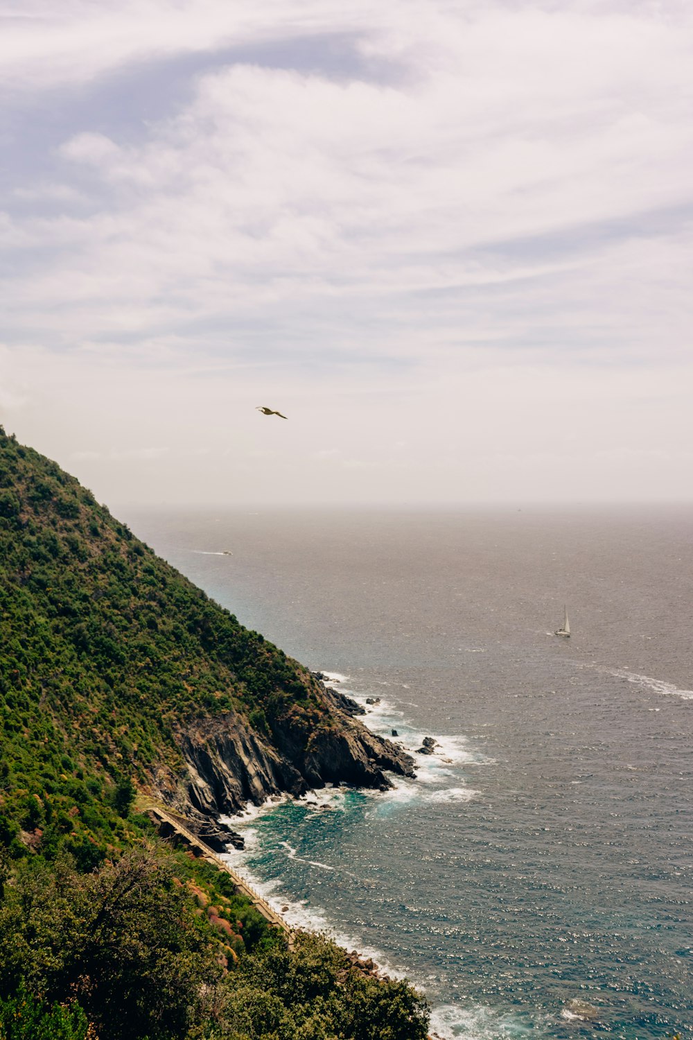 a bird flying over a beach