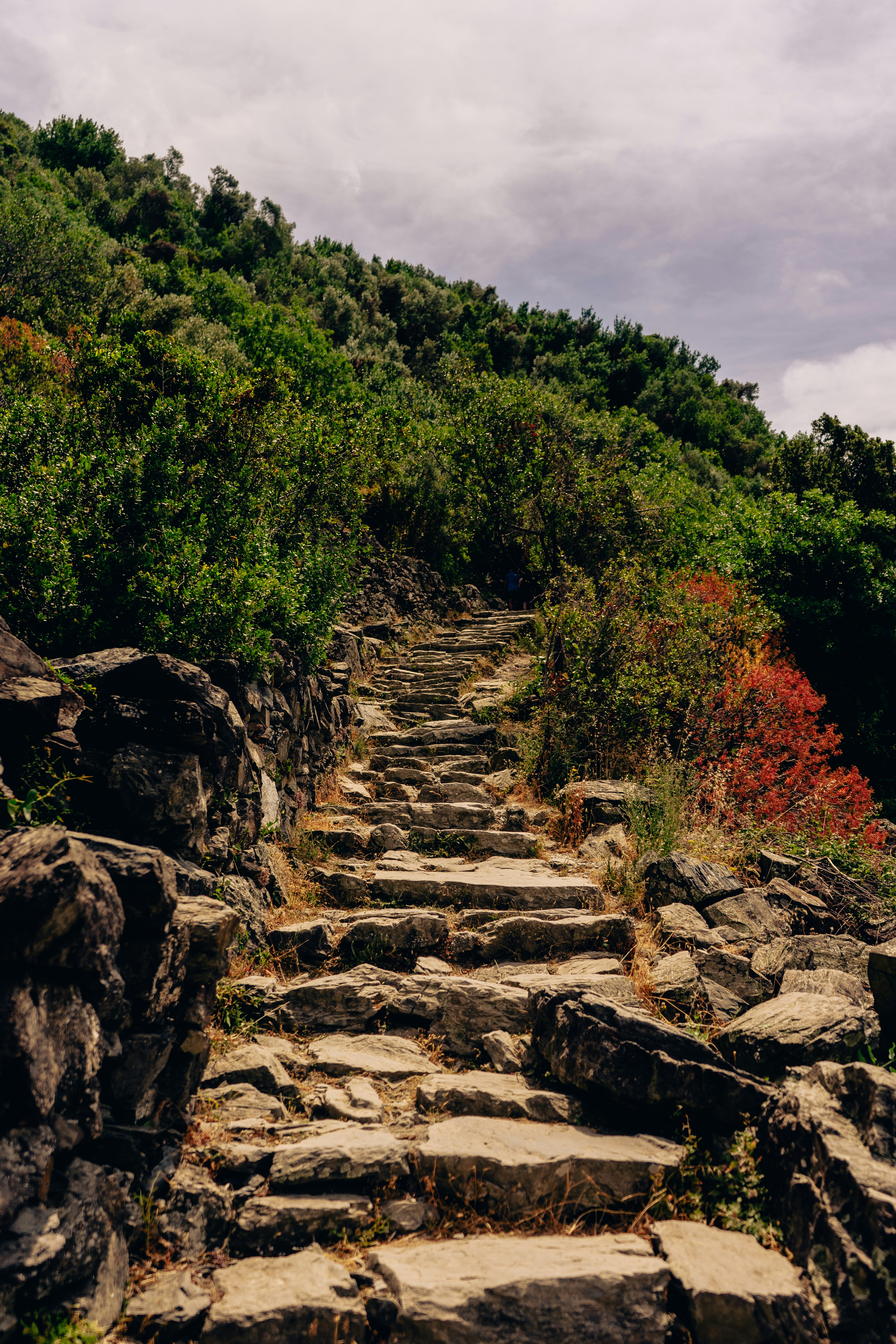 Photo by virussinside