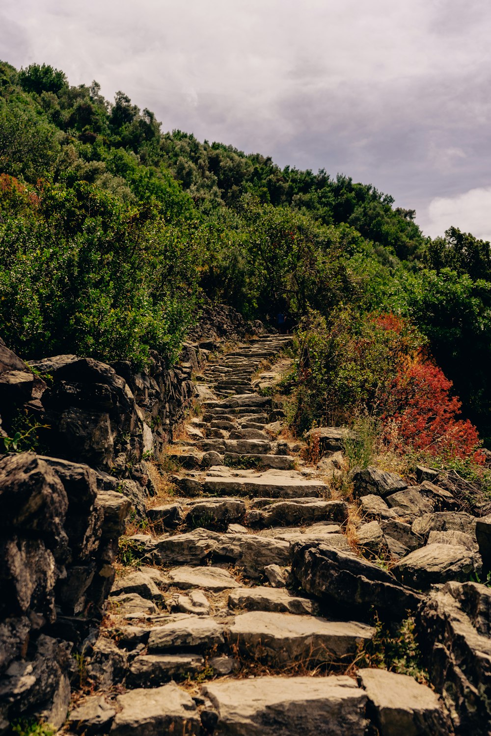 a rocky cliff with trees on it