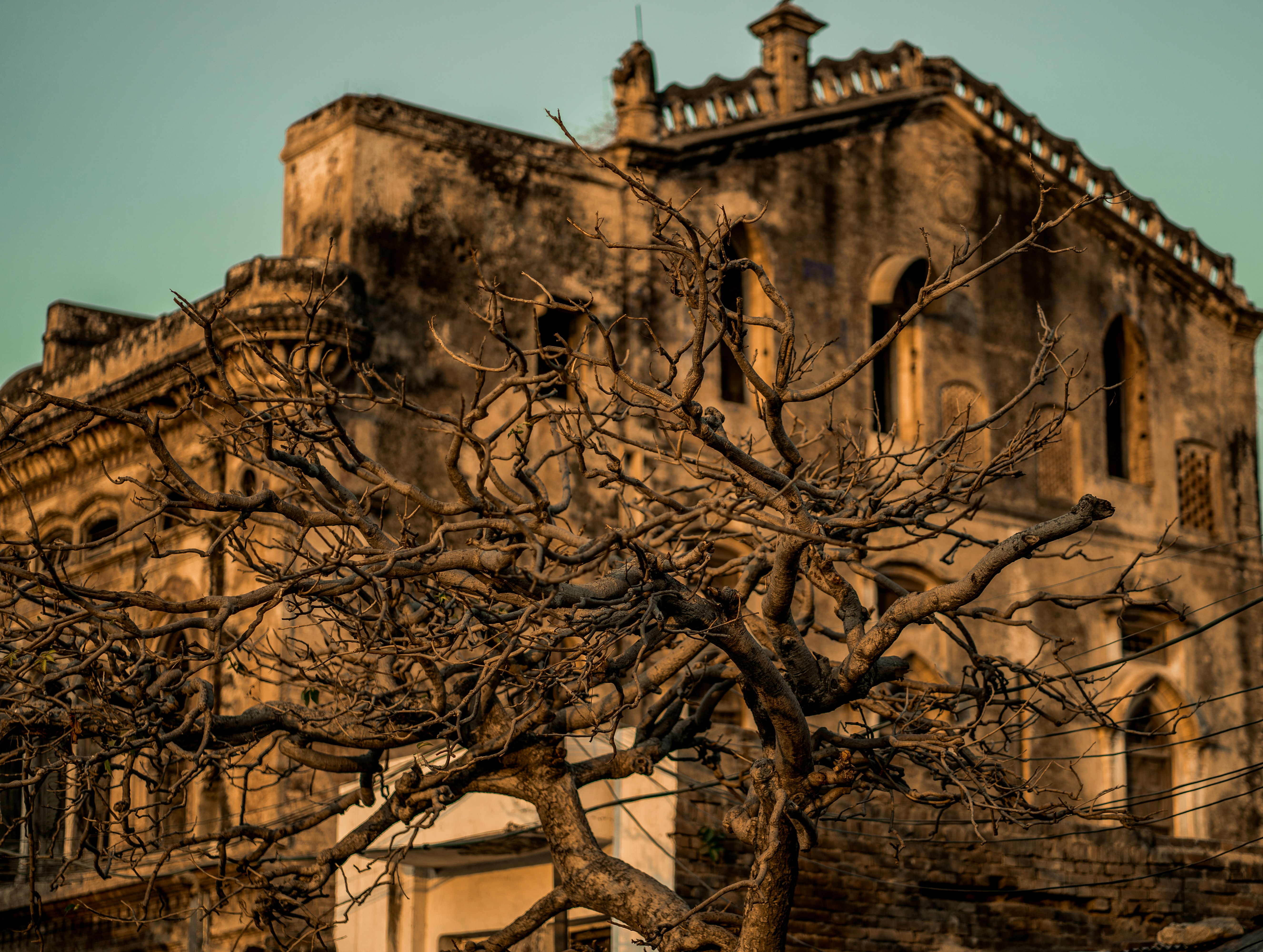 Photo by msingh3235