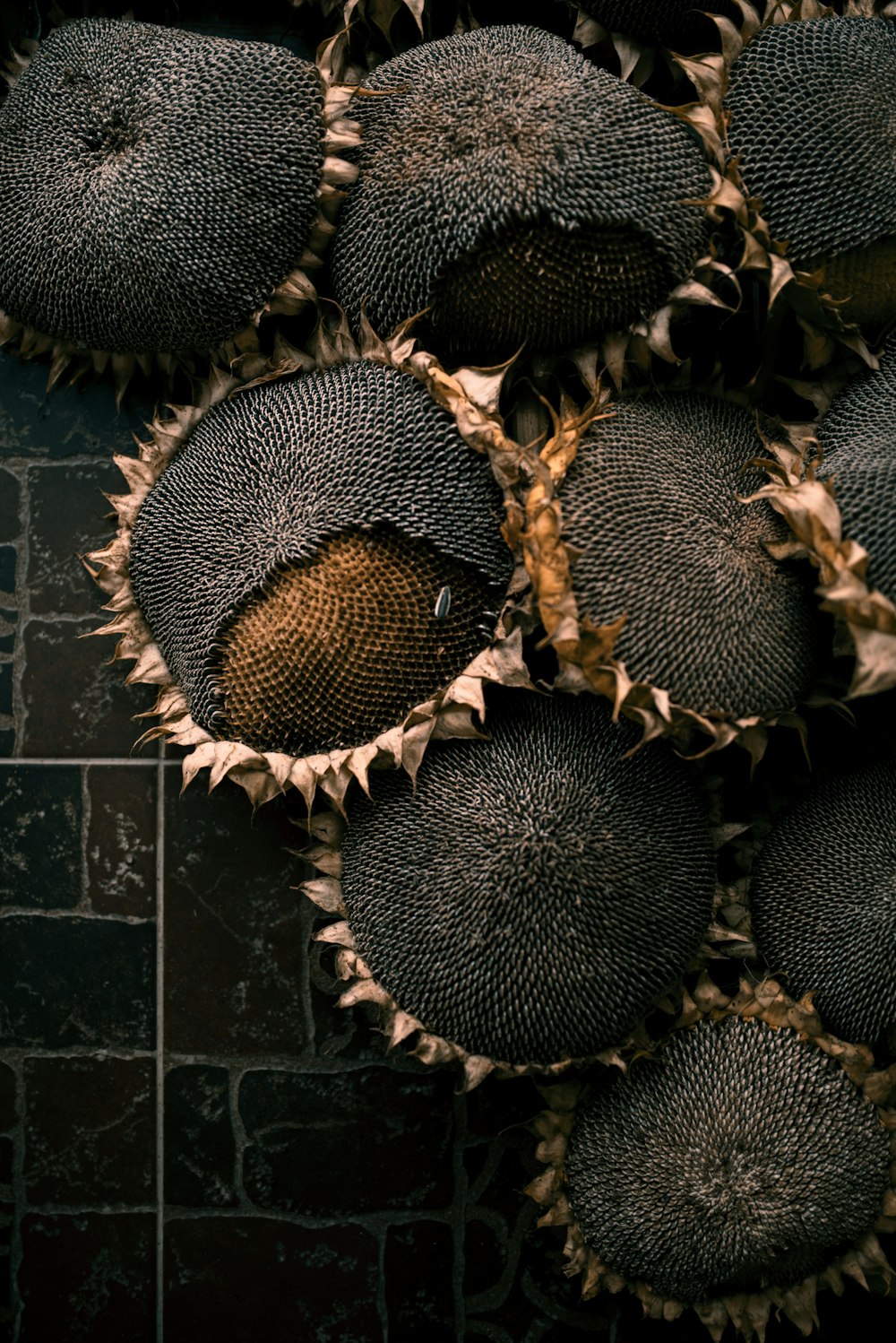 a group of black and brown objects