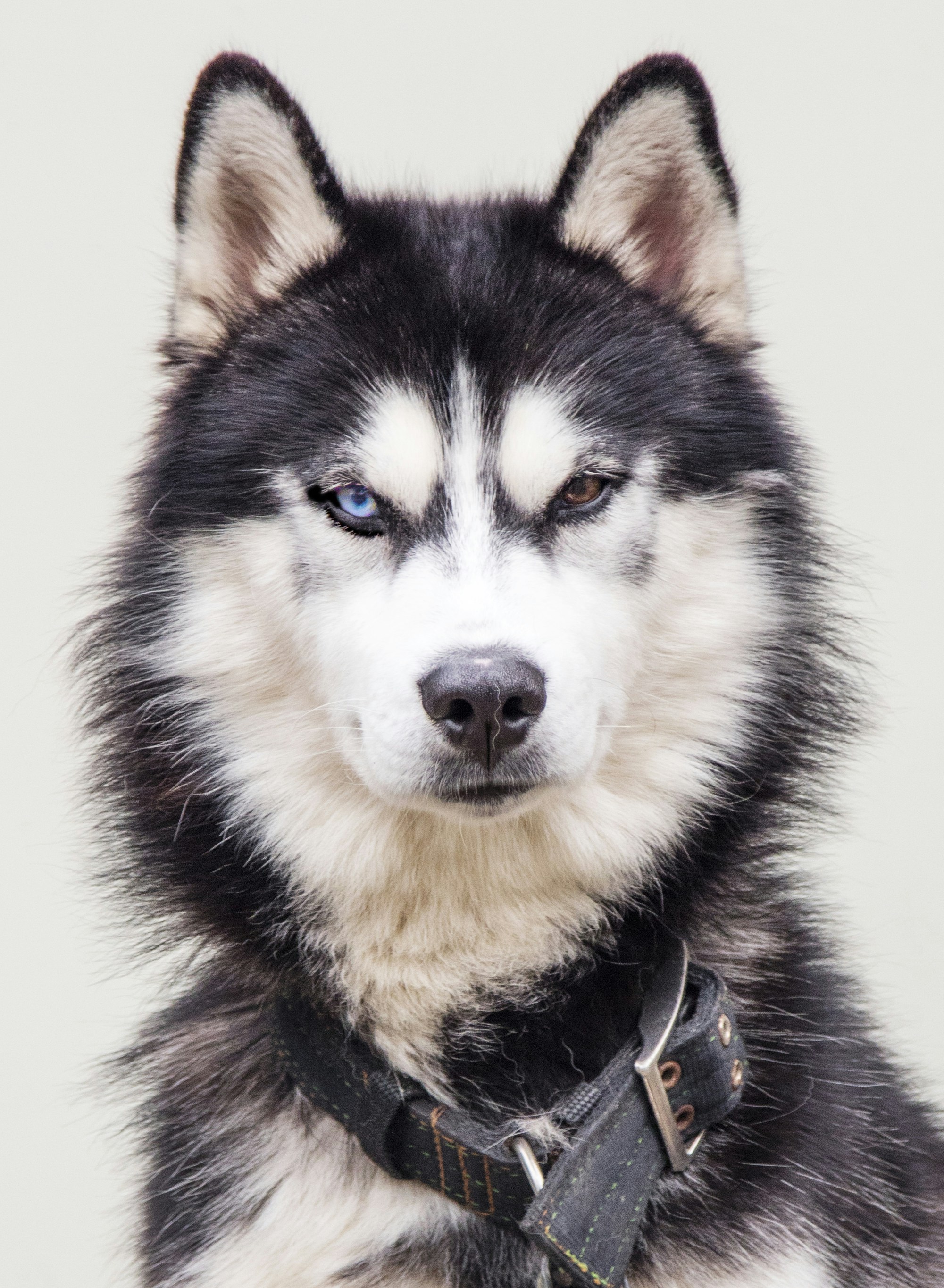 Photo by martinbennie