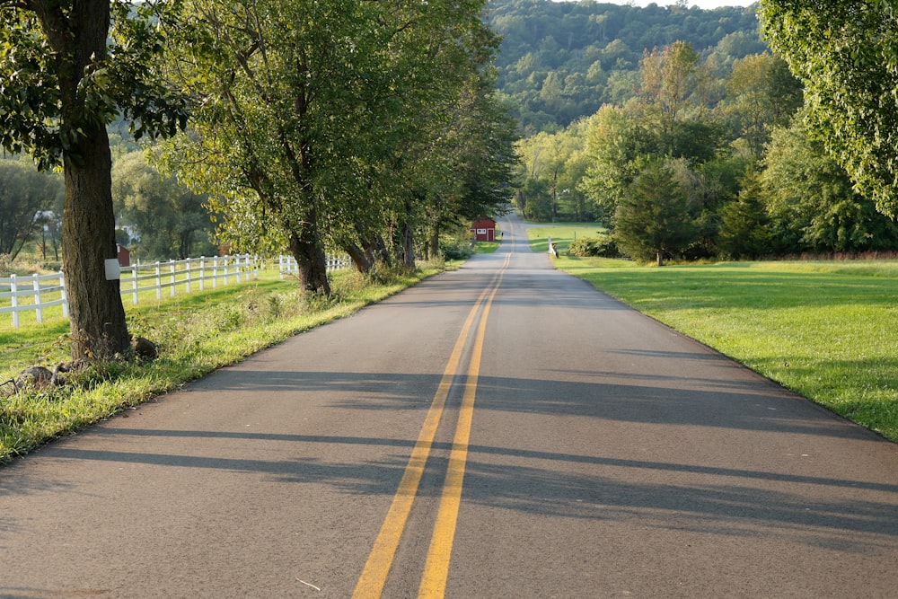 a road with trees on the side