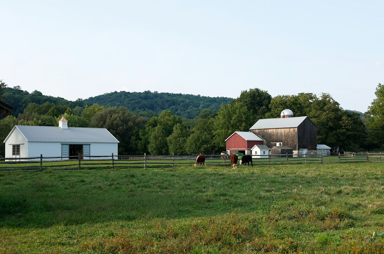 Marlboro Township & Morganville, NJ