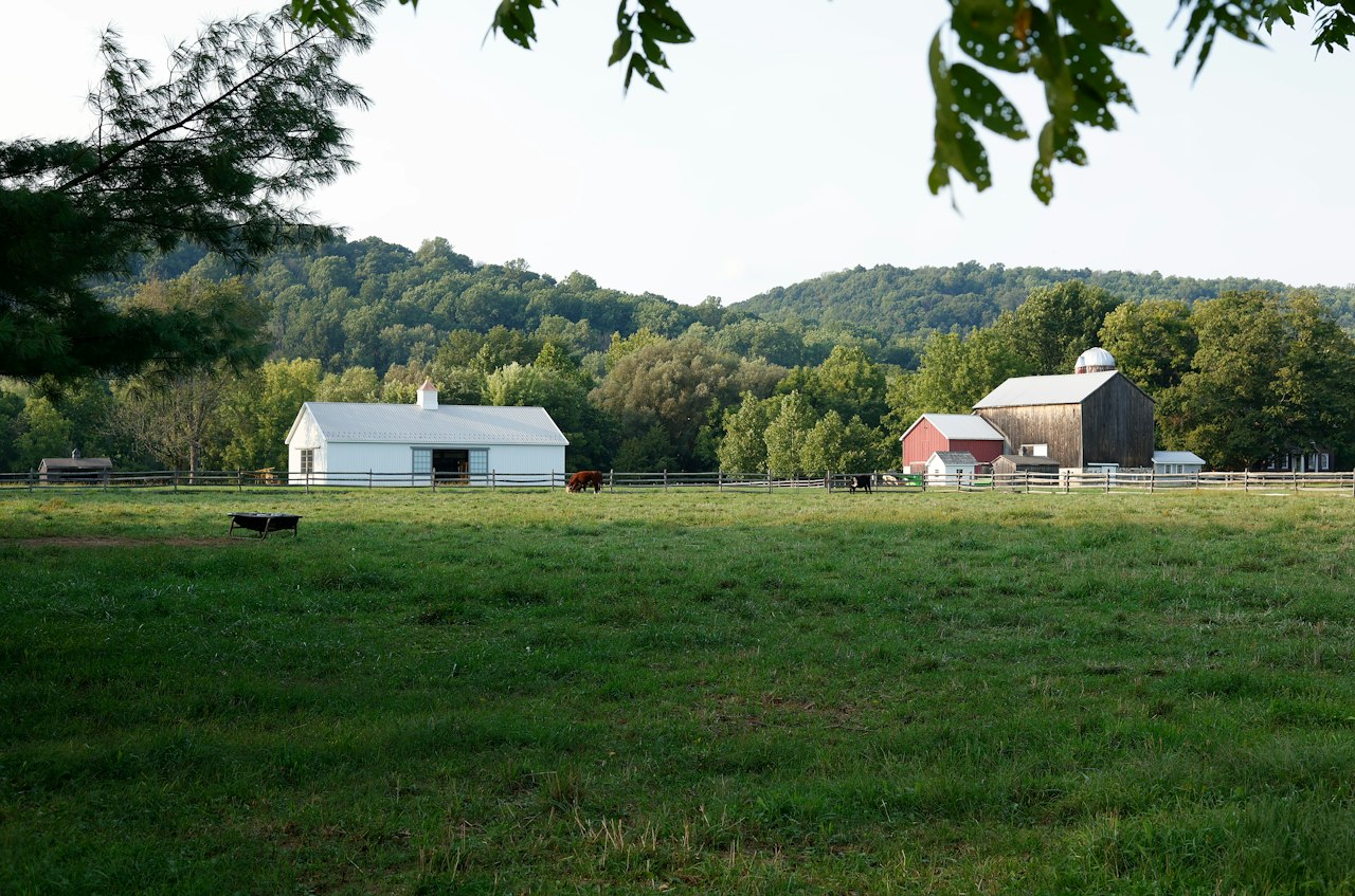 Marlboro Township & Morganville, NJ
