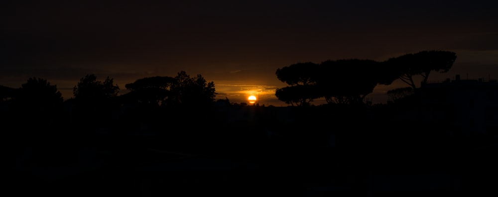 Un tramonto su una foresta