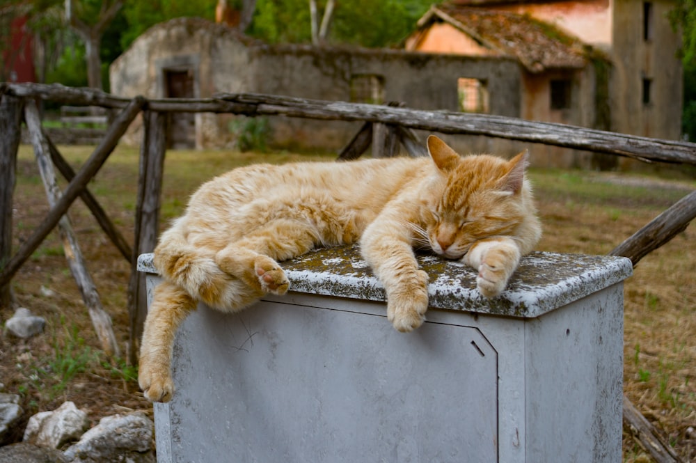 a cat lying on a metal box