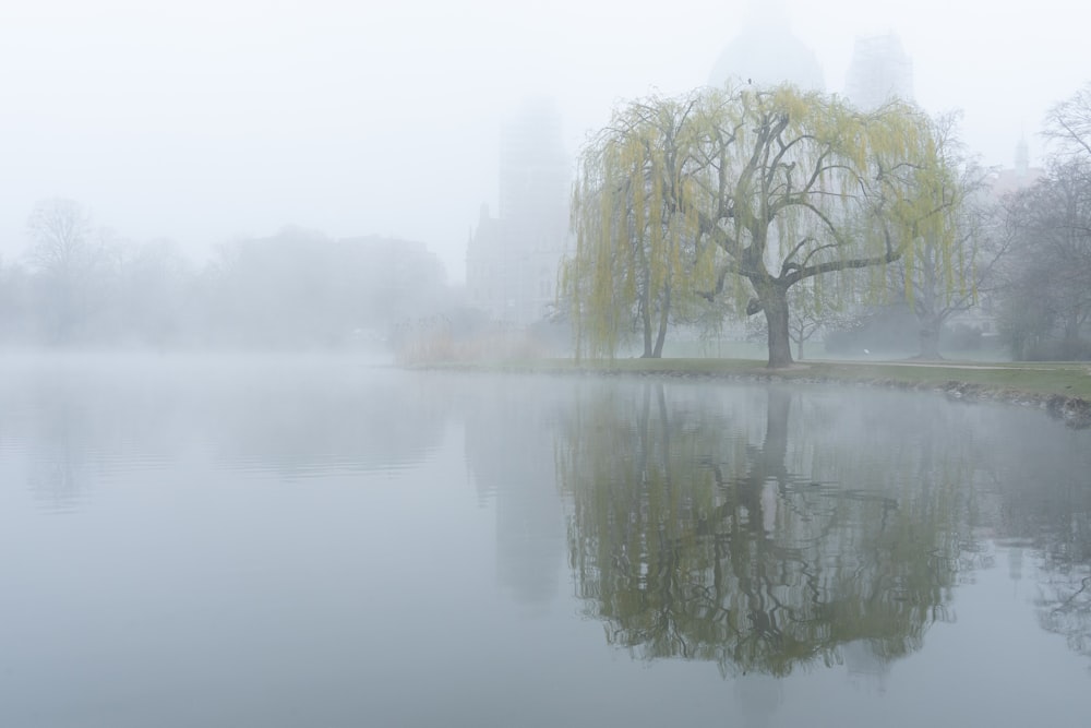 a lake with trees and fog