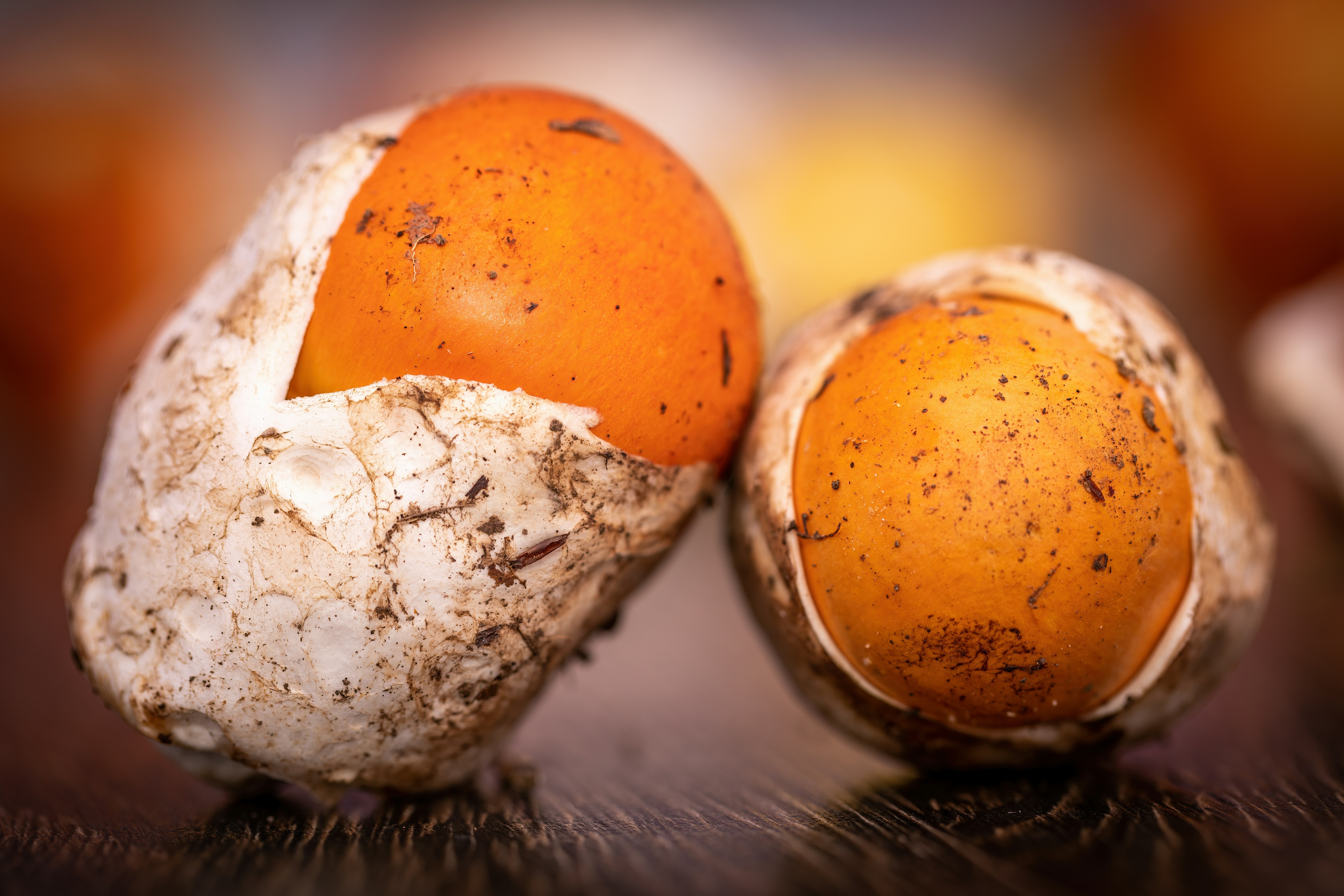 Photo by ovidiugruescu