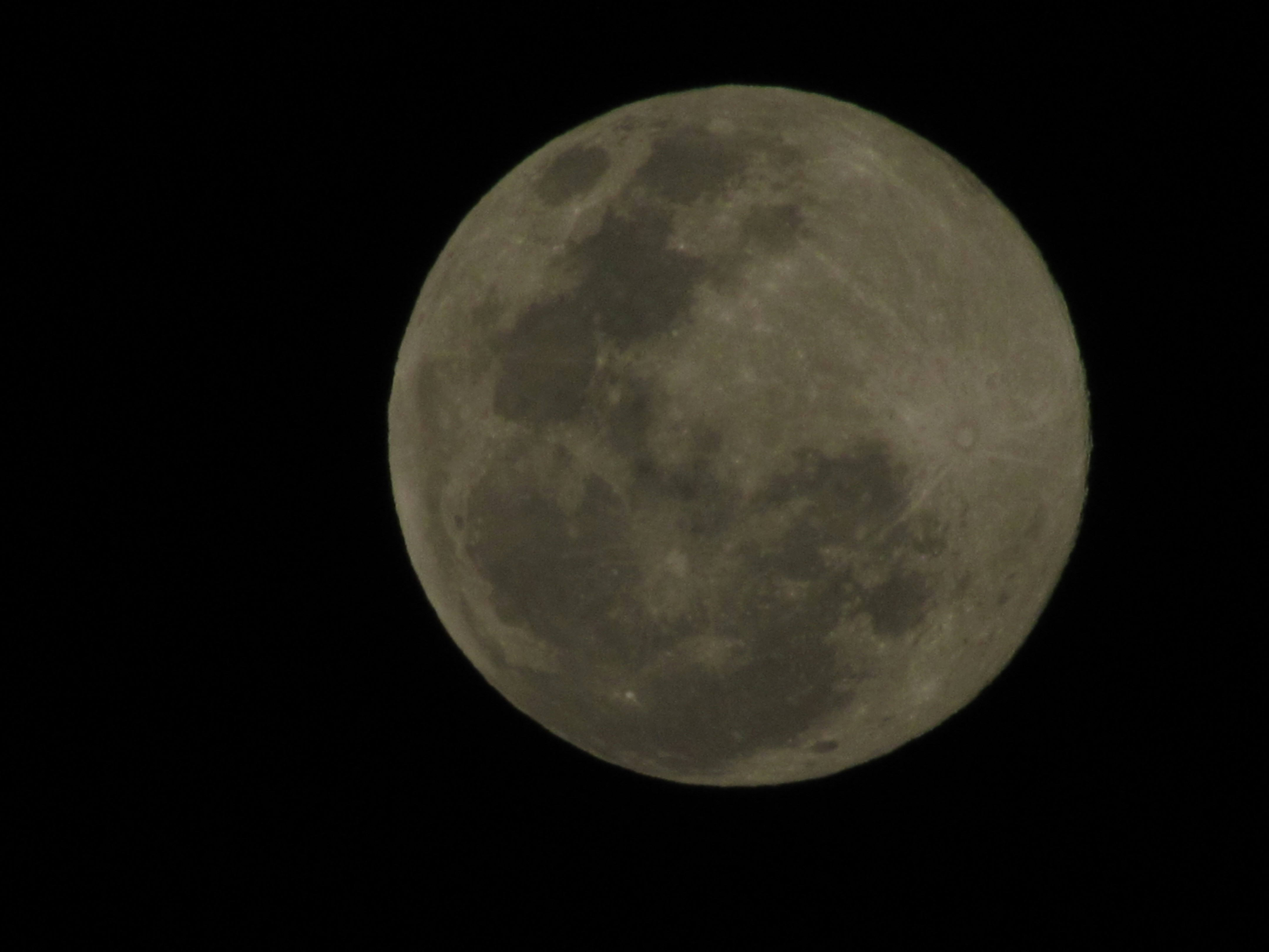 Photo by edgardbortoletto