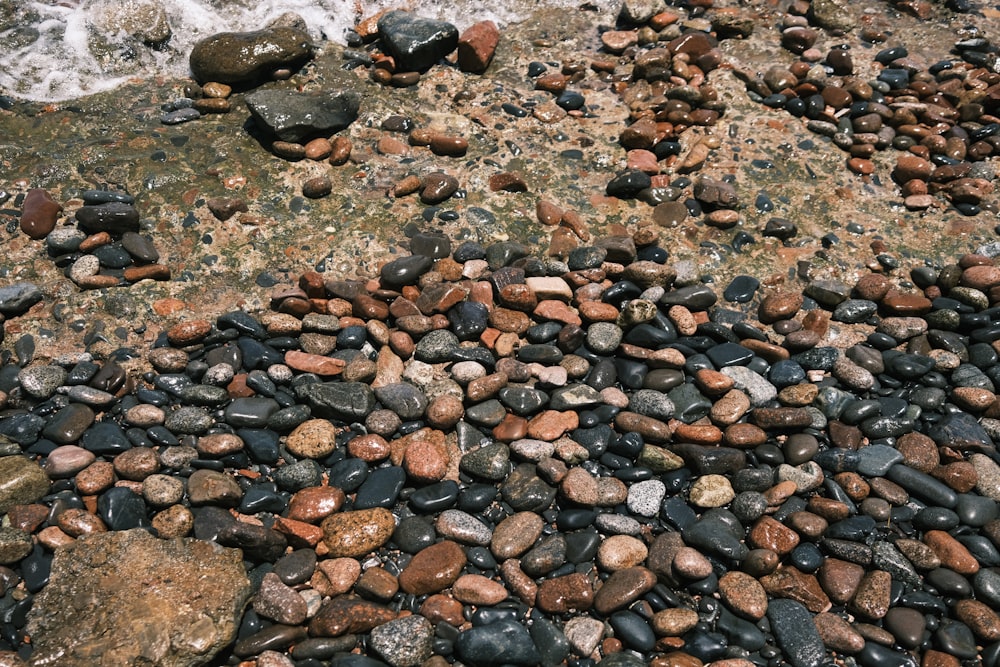 a rocky beach with water